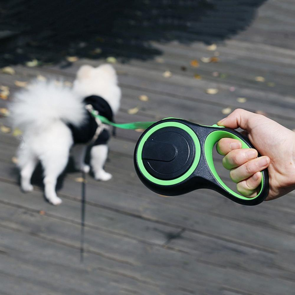 Eine Hand hält eine grün-schwarze Hundeleine. Ein weißer Hund mit schwarzem Outfit geht auf einem Holzdeck.