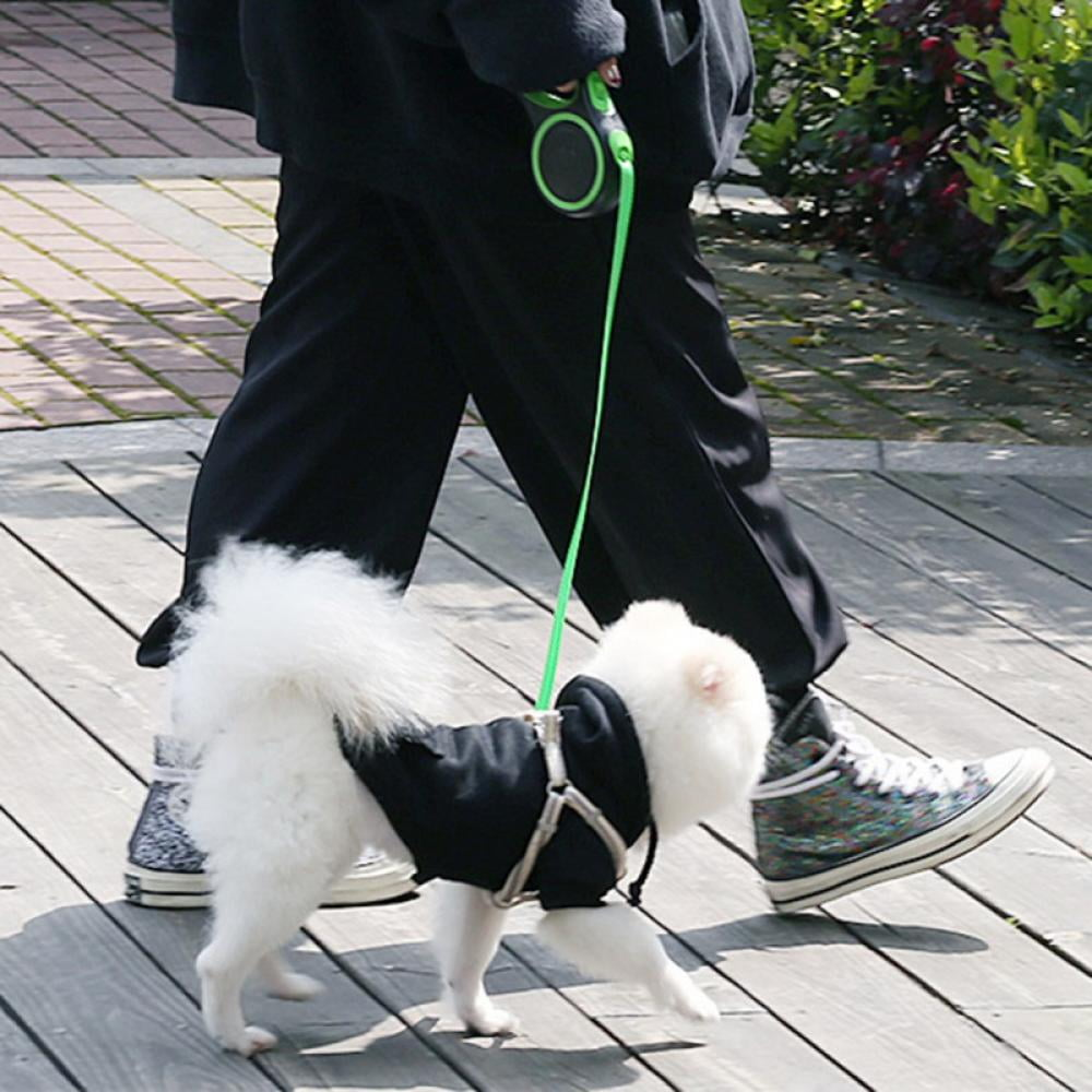 Eine Person geht mit einem weißen Hund, der einen schwarzen Mantel trägt, an einer grünen Leine spazieren. Die Person trägt schwarze Hosen und gemusterte Schuhe.