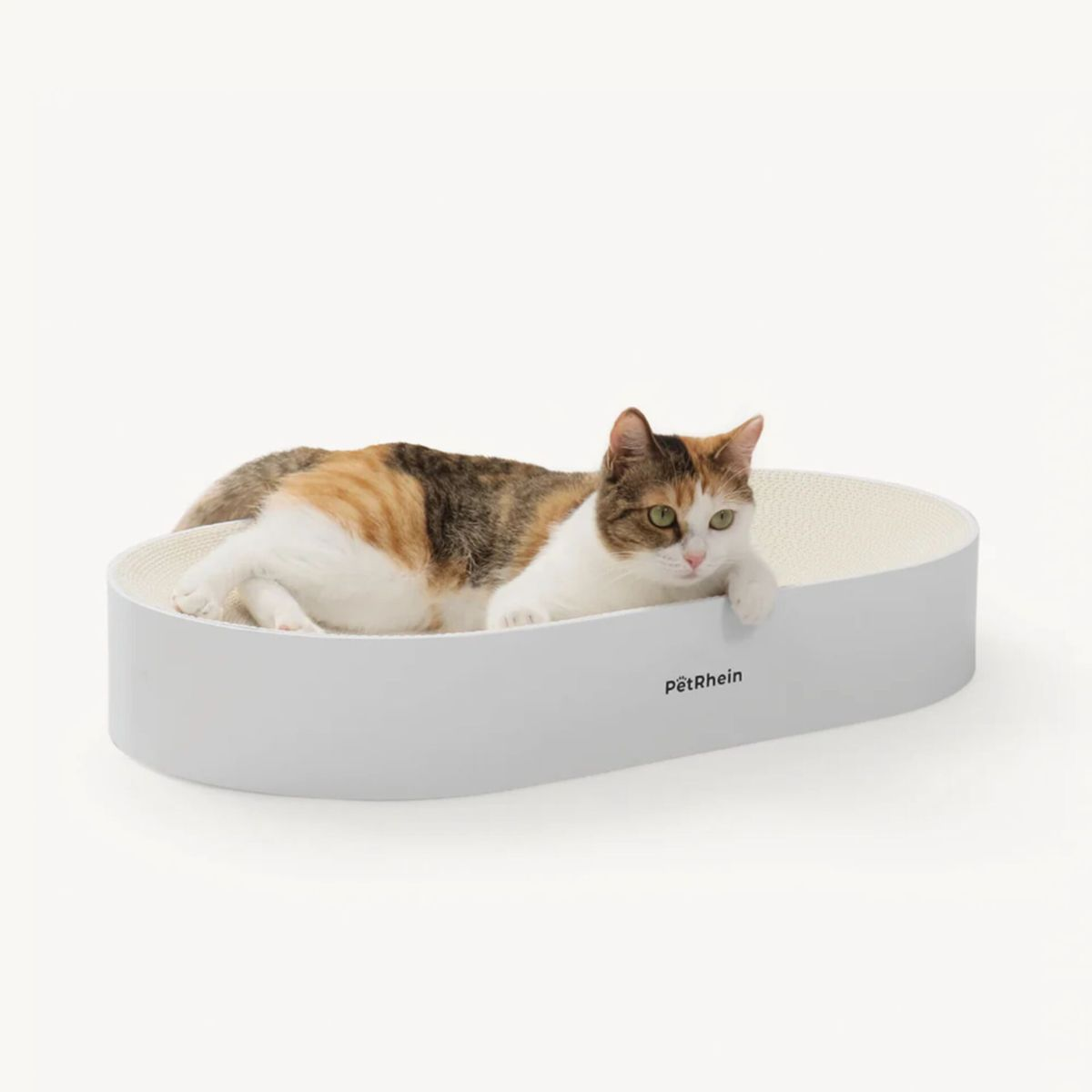 Un gatto calico giace in un letto ovale bianco. Il gatto ha pelo marrone, arancione e bianco e guarda la fotocamera.