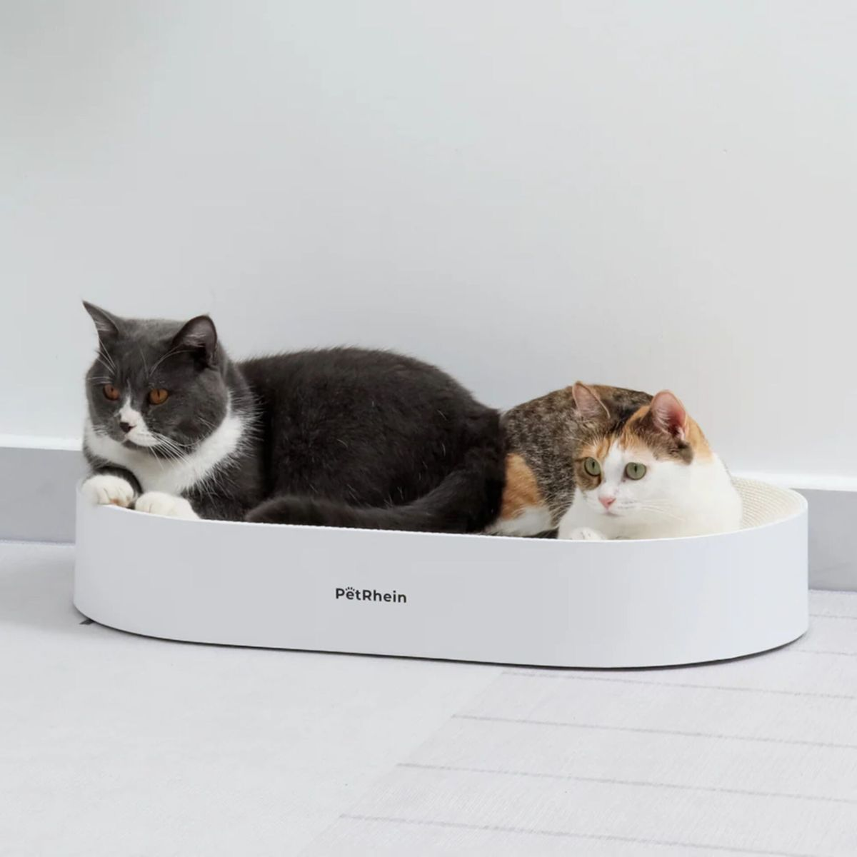 Due gatti in un letto bianco. Un gatto grigio con segni bianchi è accanto a un gatto calico. Il letto ha 'PetRhein'.