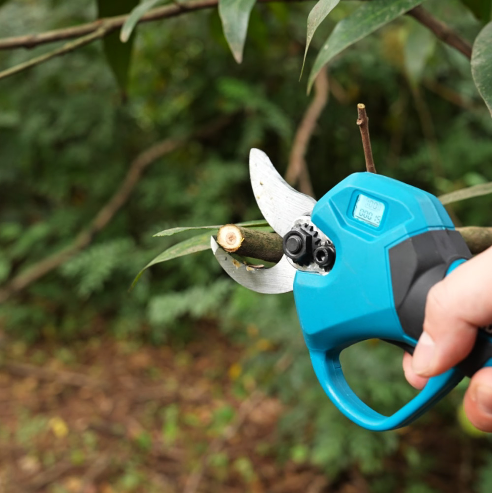 Eine Hand hält eine blau-schwarze Gartenschere, die einen kleinen Ast schneidet. Der Hintergrund ist verschwommenes grünes Laub.