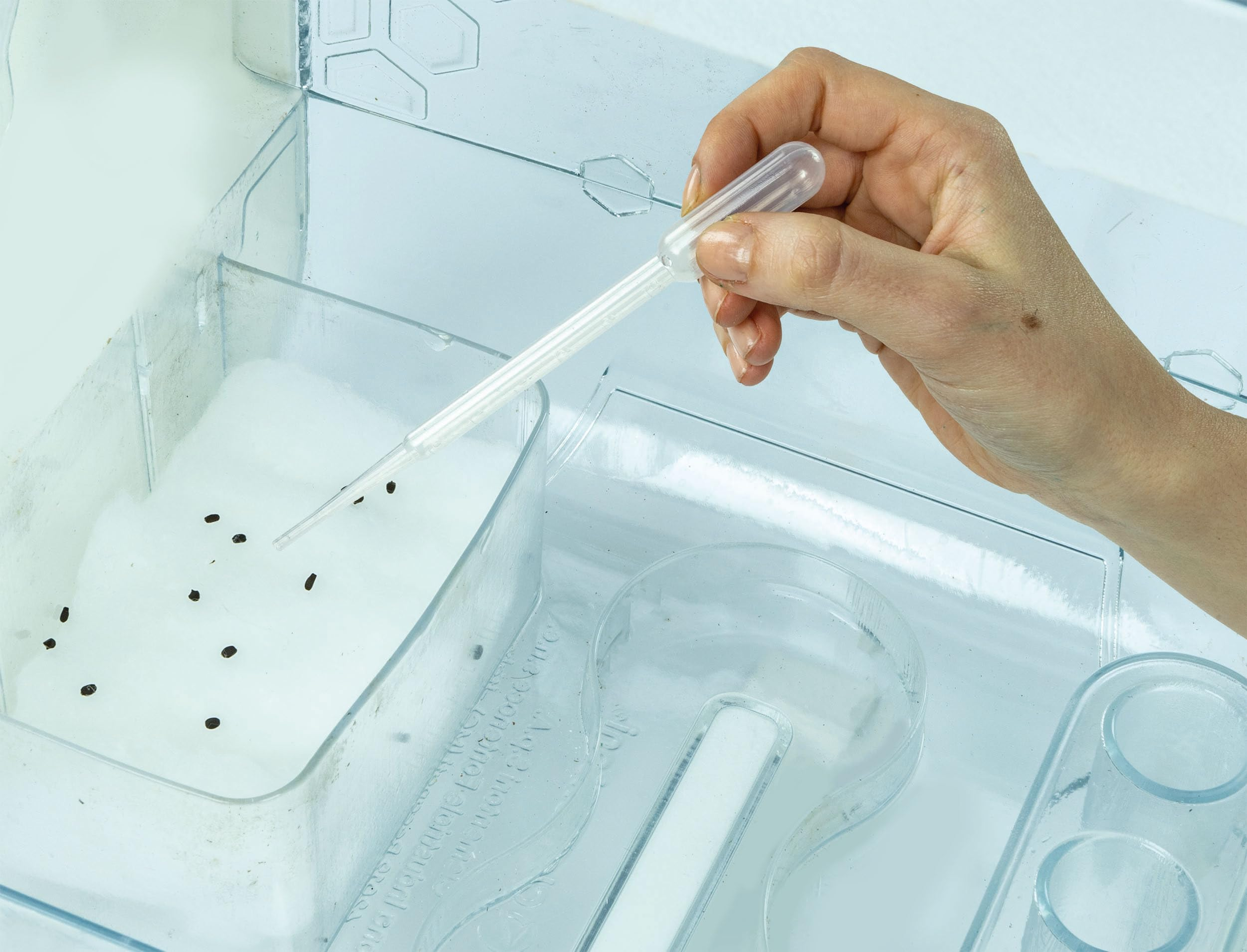 Eine Hand hält eine Pipette über einem Behälter mit Samen. Die Szene spielt in einem Labor.