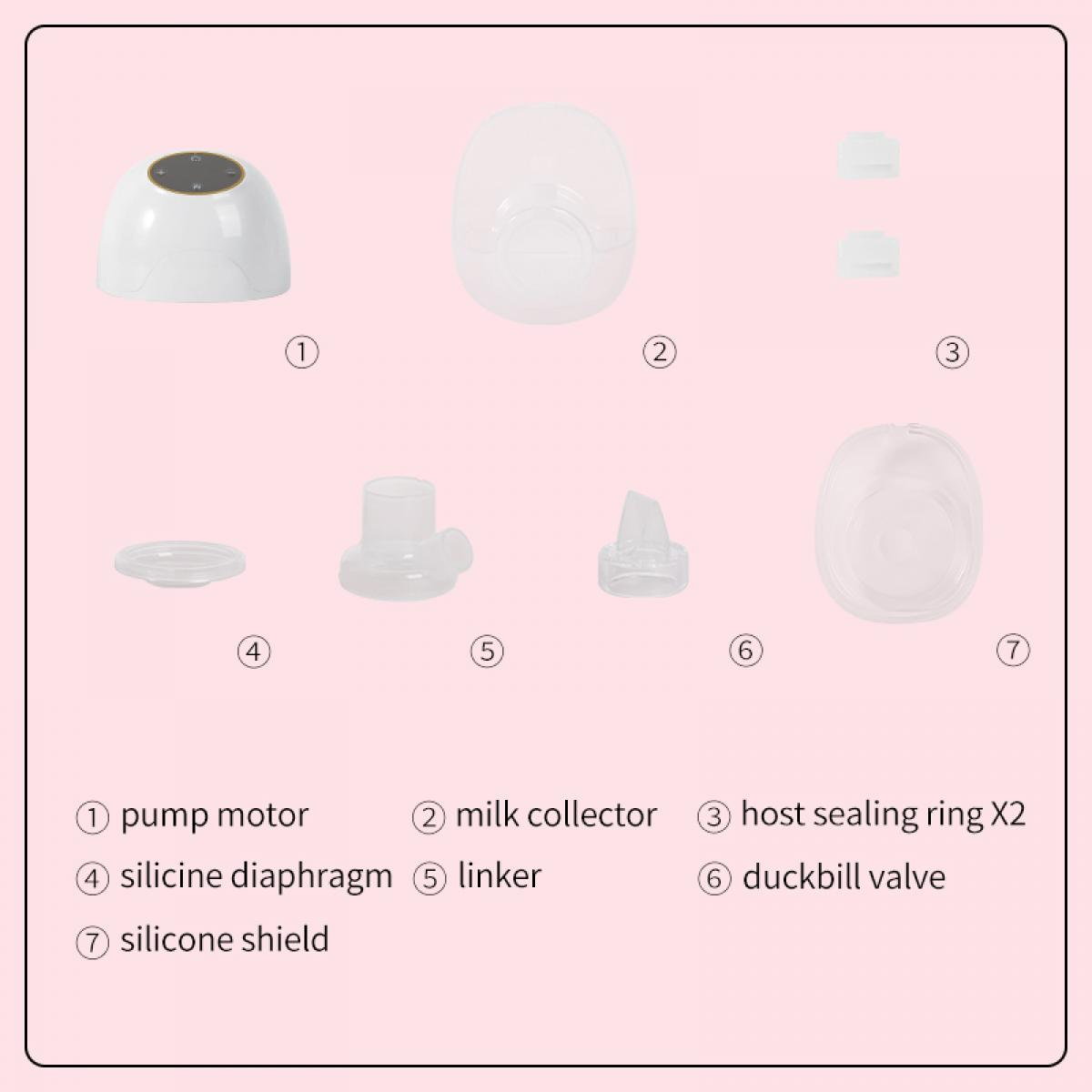 Das Bild zeigt Teile einer Milchpumpe: Pumpenmotor, Milchsammler, Dichtungsringe, Membran, Verbinder, Ventil und Schild. Alles ist weiß.