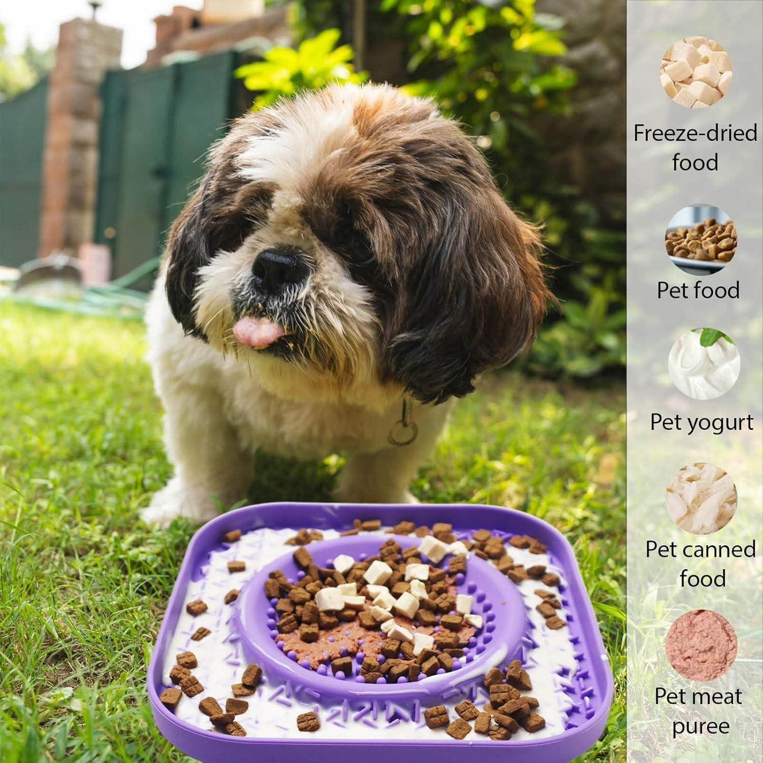 Ein Hund mit herausgestreckter Zunge steht über einer lila Slow-Feeder-Schüssel mit Hundefutter. Verschiedene Futterarten sind abgebildet.