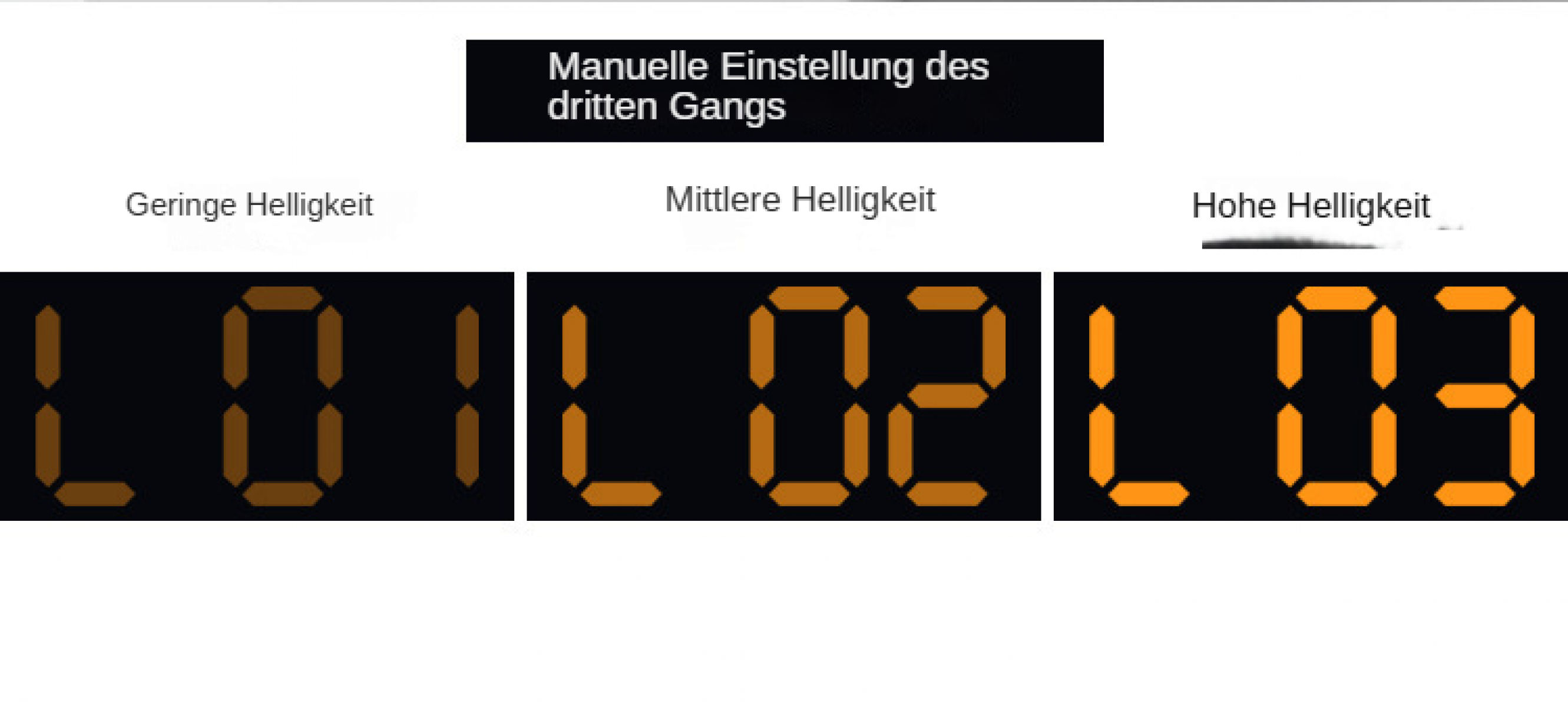 Digitalanzeige mit drei Abschnitten, die Helligkeitsstufen und die Zahlen 01, 02 und 03 in Bernstein auf schwarzem Hintergrund zeigen.