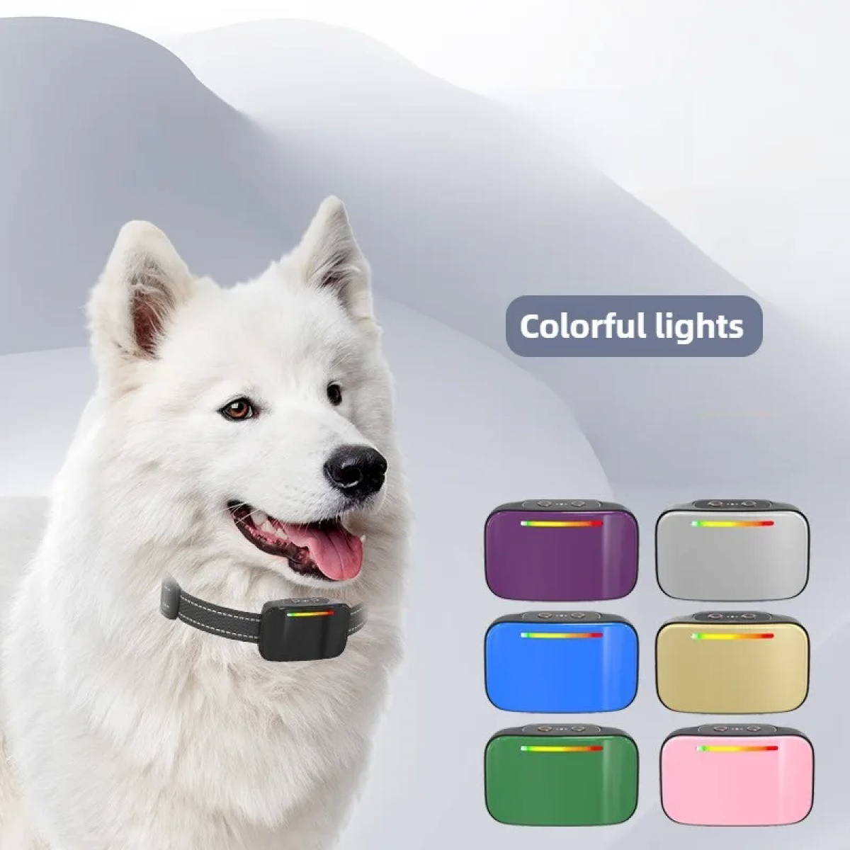 Weißer Hund mit schwarzem Halsband und farbigem Licht. Sechs farbige Halsbänder werden angezeigt. Text: Bunte Lichter.