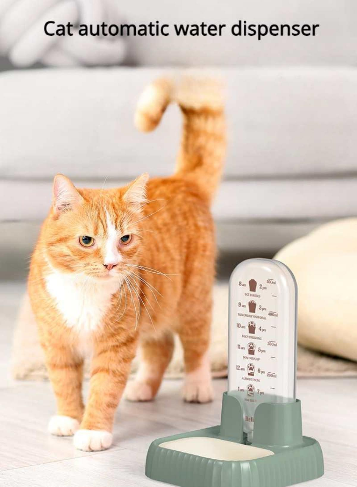 Eine orange Katze steht neben einem automatischen Wasserspender. Der Spender ist grün und hat einen transparenten Behälter mit Wasserstandmarkierungen.