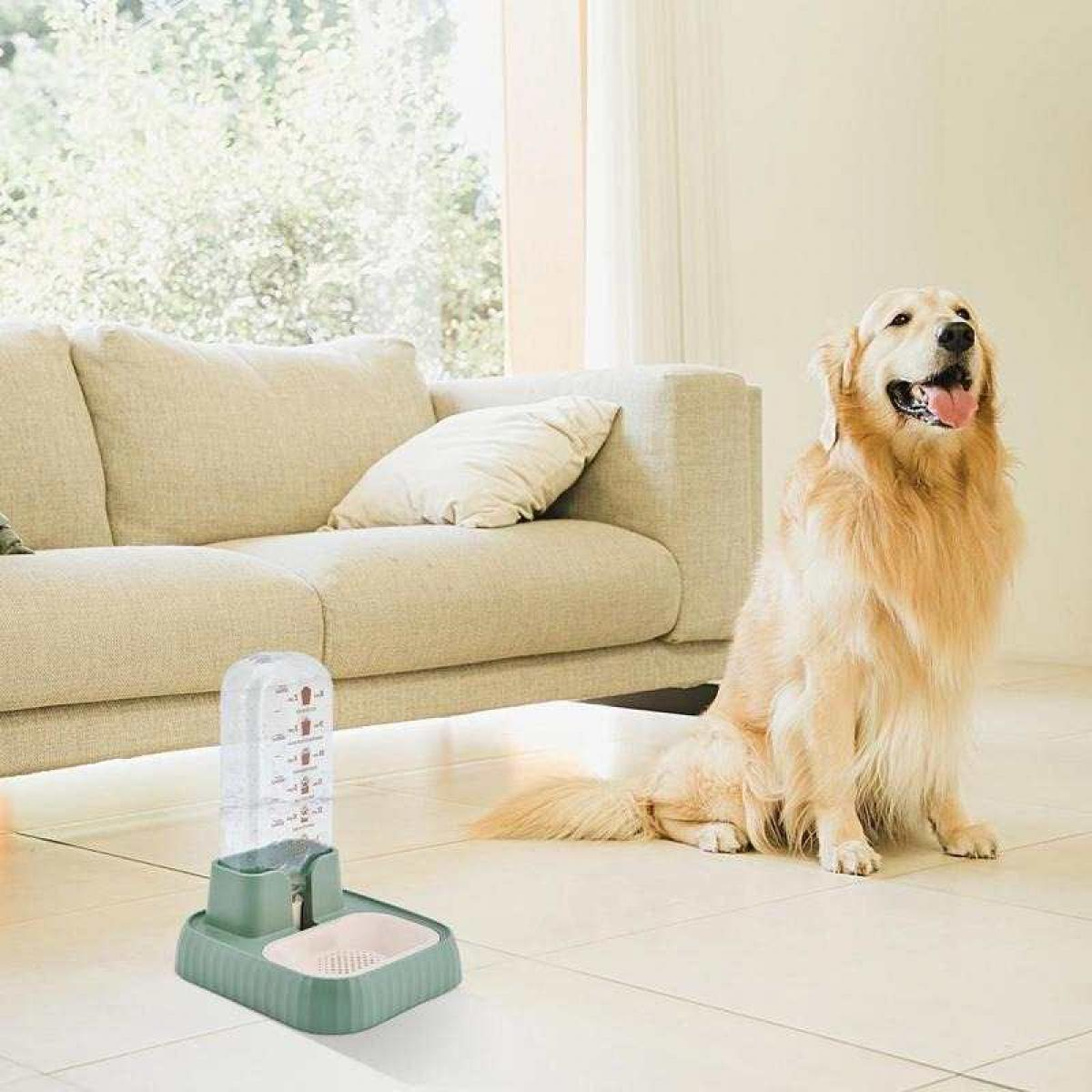 Ein Golden Retriever sitzt neben einem Wasserspender. Im Hintergrund ist ein Sofa. Der Hund hat die Zunge draußen.