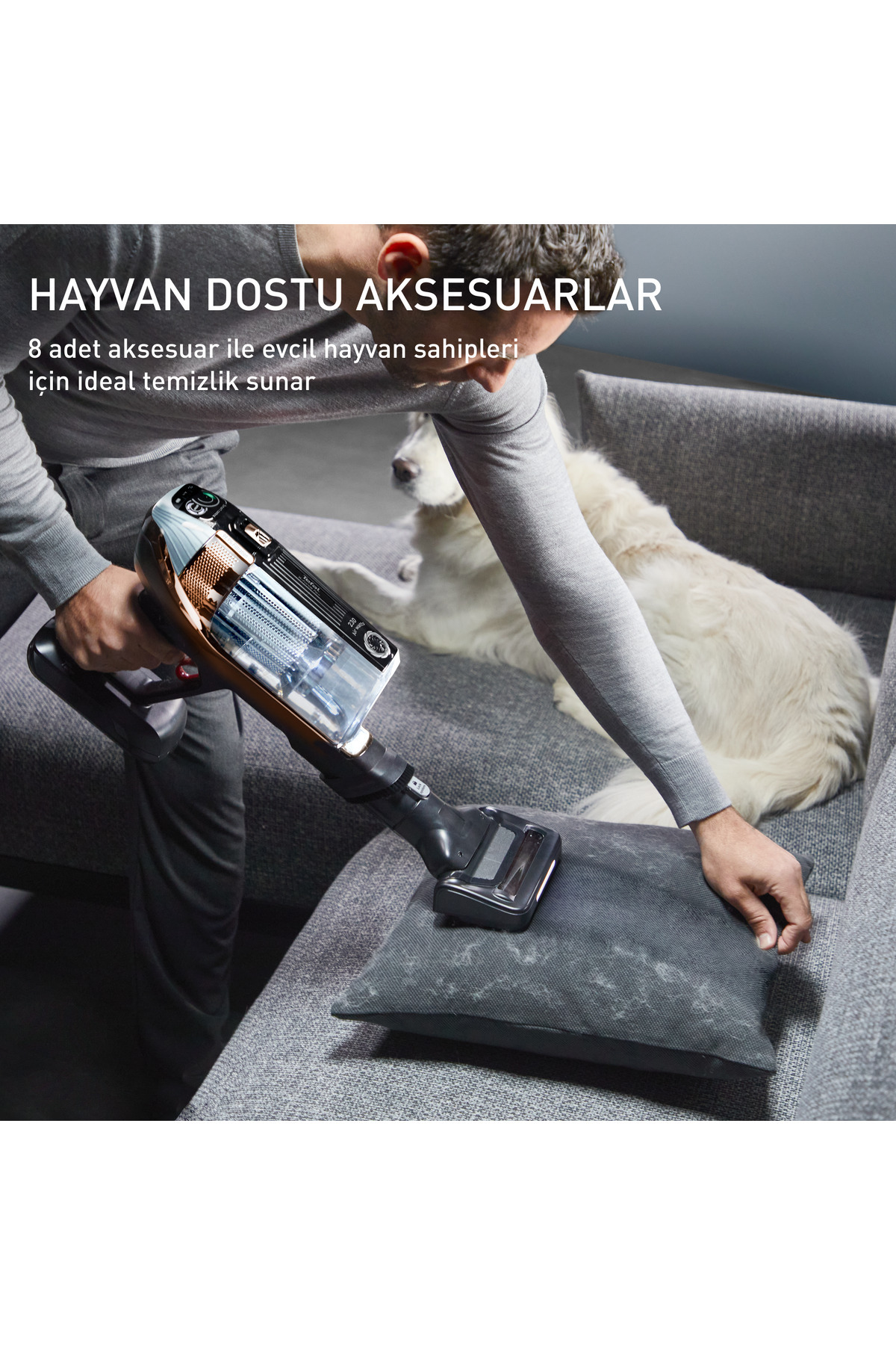 Bir kişi gri bir yastığı elektrikli süpürgeyle süpürüyor. Arka planda gri bir kanepede beyaz bir köpek oturuyor.