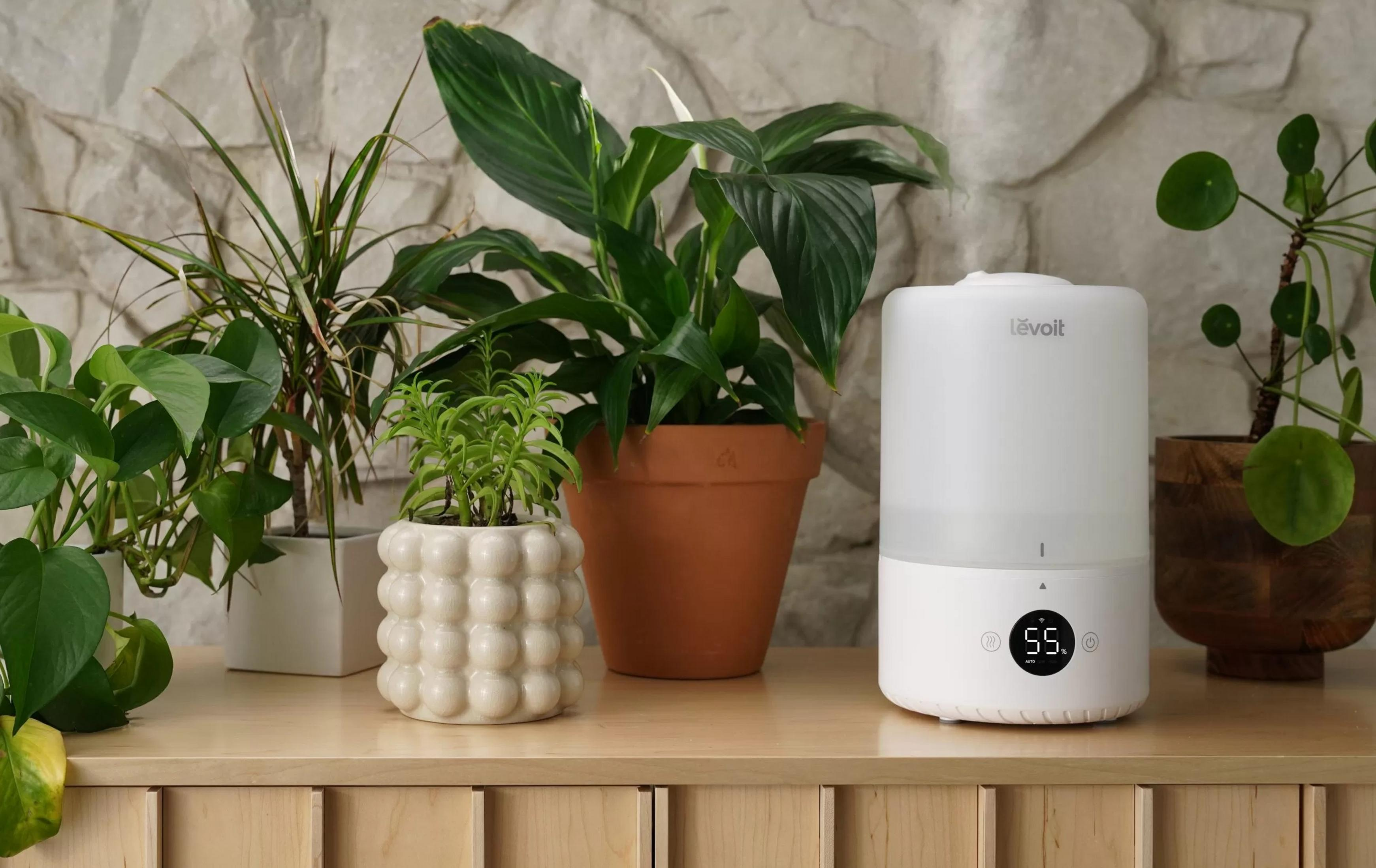Biały nawilżacz z cyfrowym wyświetlaczem 55, otoczony roślinami doniczkowymi na drewnianej powierzchni.
