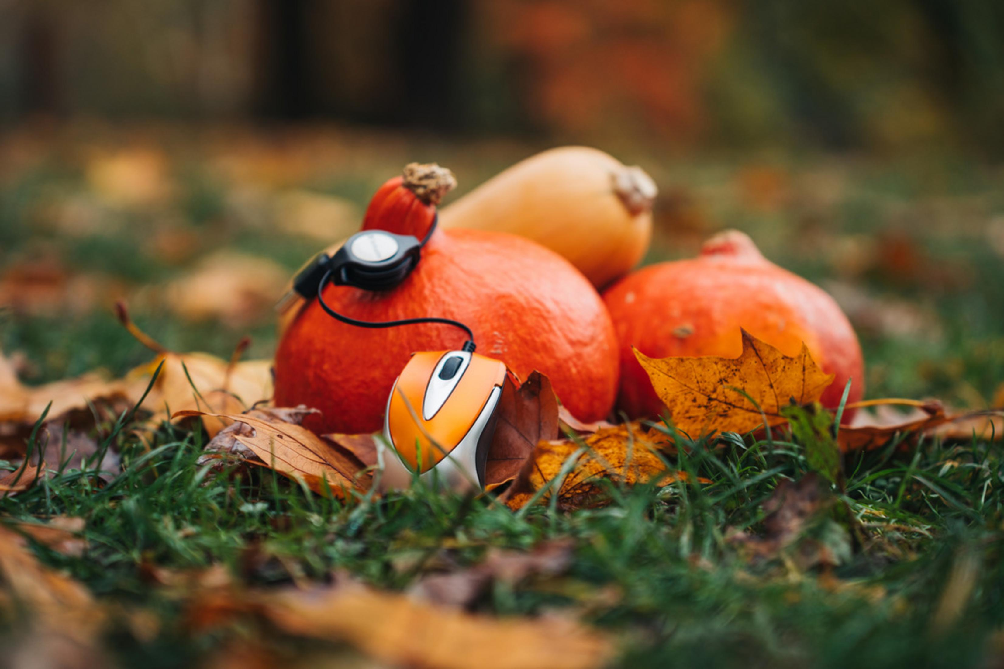 Pumpkins, mouse, leaves on grass. Orange pumpkins, a computer mouse, and fallen leaves create an autumn scene.