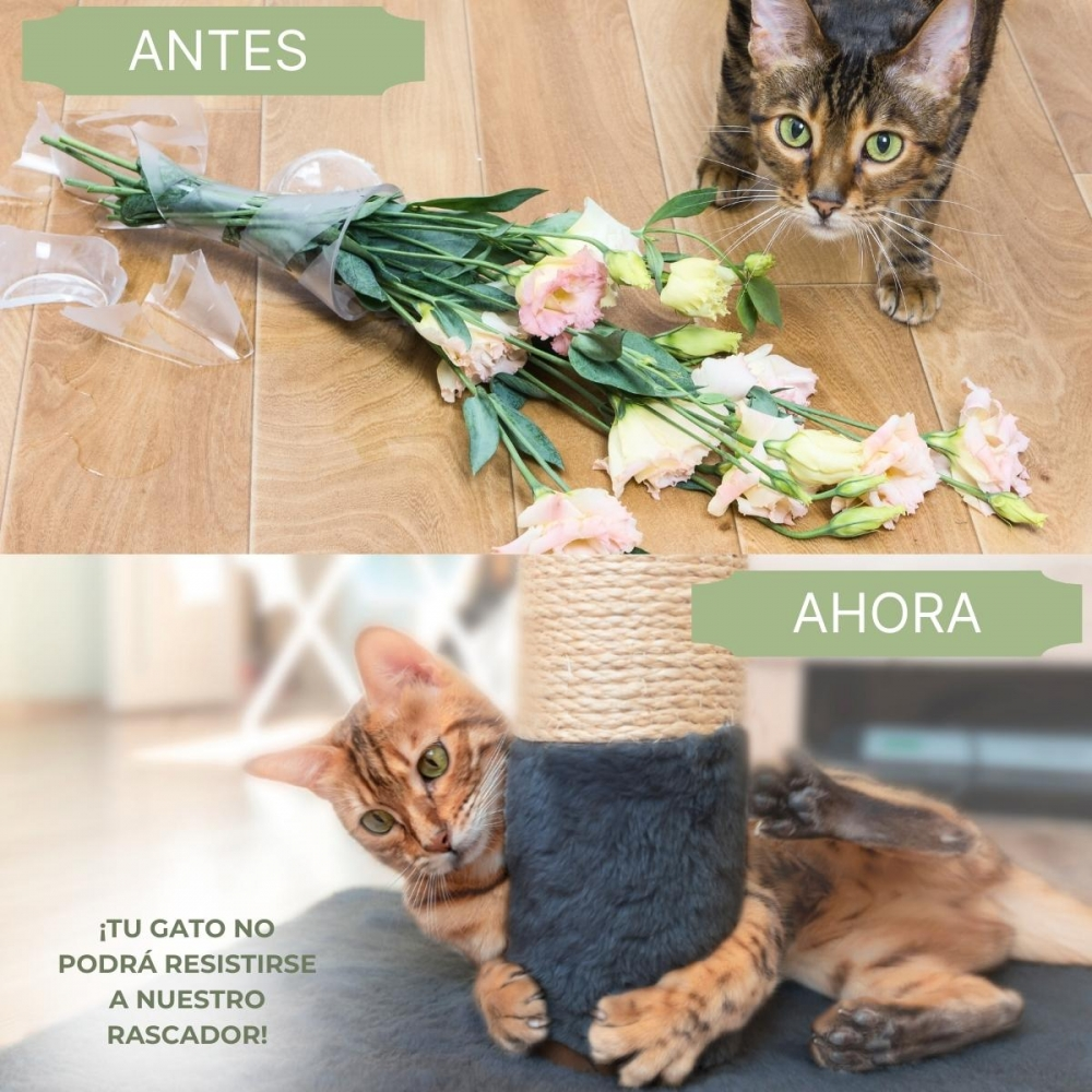 Antes: Jarrón roto, flores, gato. Después: Gato con rascador.