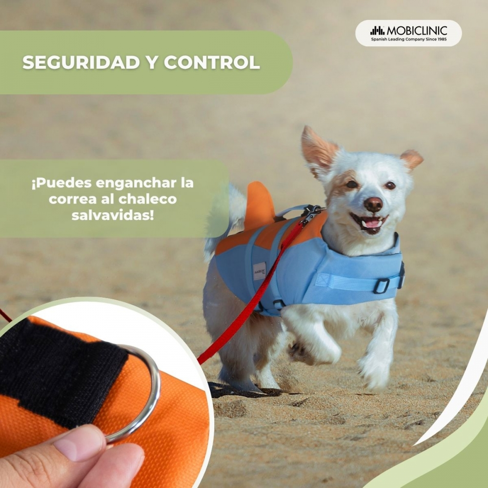 Un perro blanco con un chaleco salvavidas azul y naranja corre por la playa con una correa roja. La imagen muestra un primer plano del anillo del chaleco.