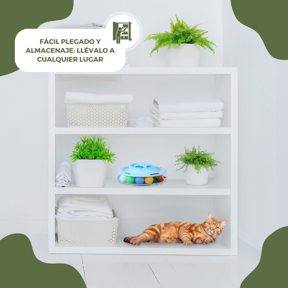 Estantería blanca con plantas, toallas y un gato. Un juguete azul con bolas en un estante. Un gato atigrado naranja está tumbado y mirando a la cámara.