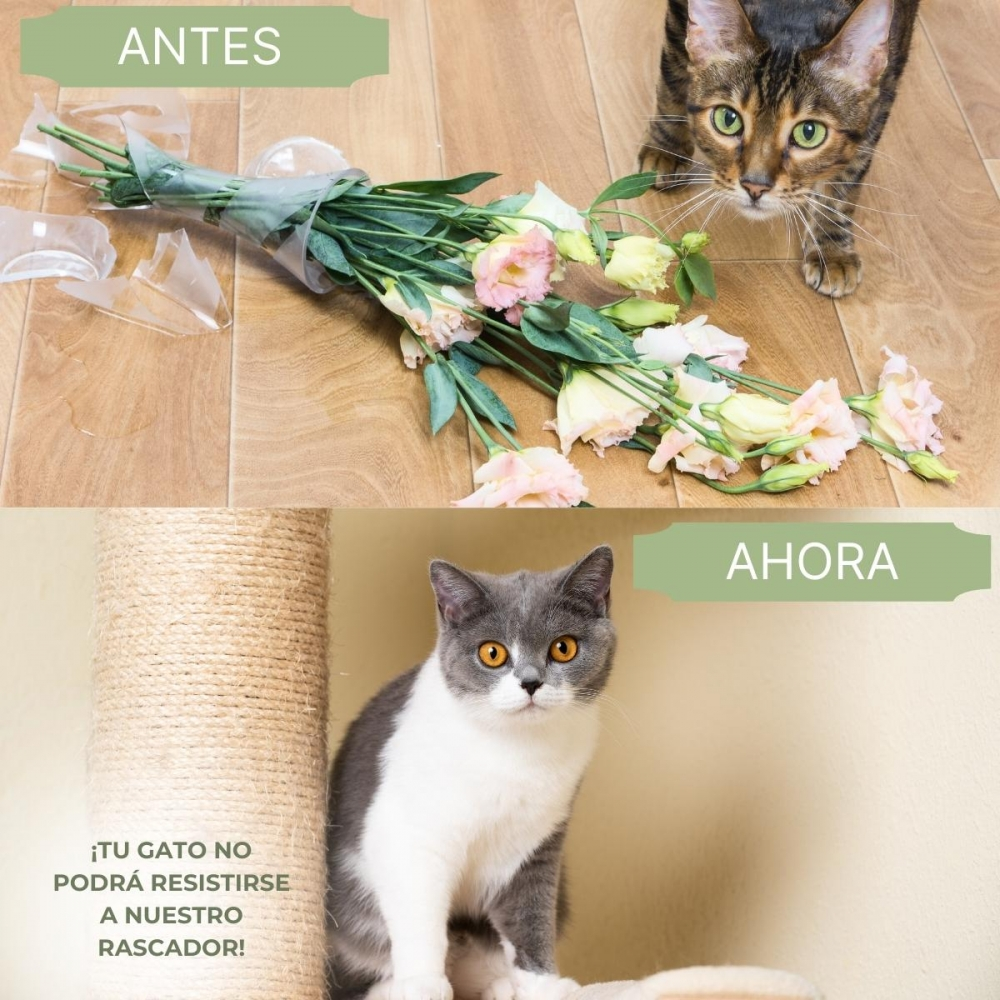 Arriba: Jarrón roto y flores con gato. Abajo: Gato en rascador. Texto: ¡Tu gato no se resistirá a nuestro rascador!