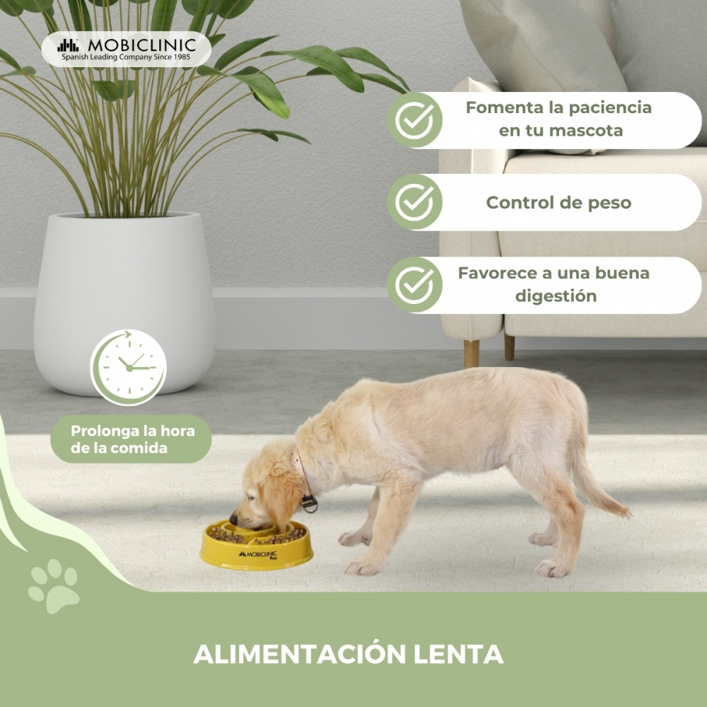 Un cucciolo di golden retriever mangia da una ciotola gialla per l'alimentazione lenta, con testo sui benefici.