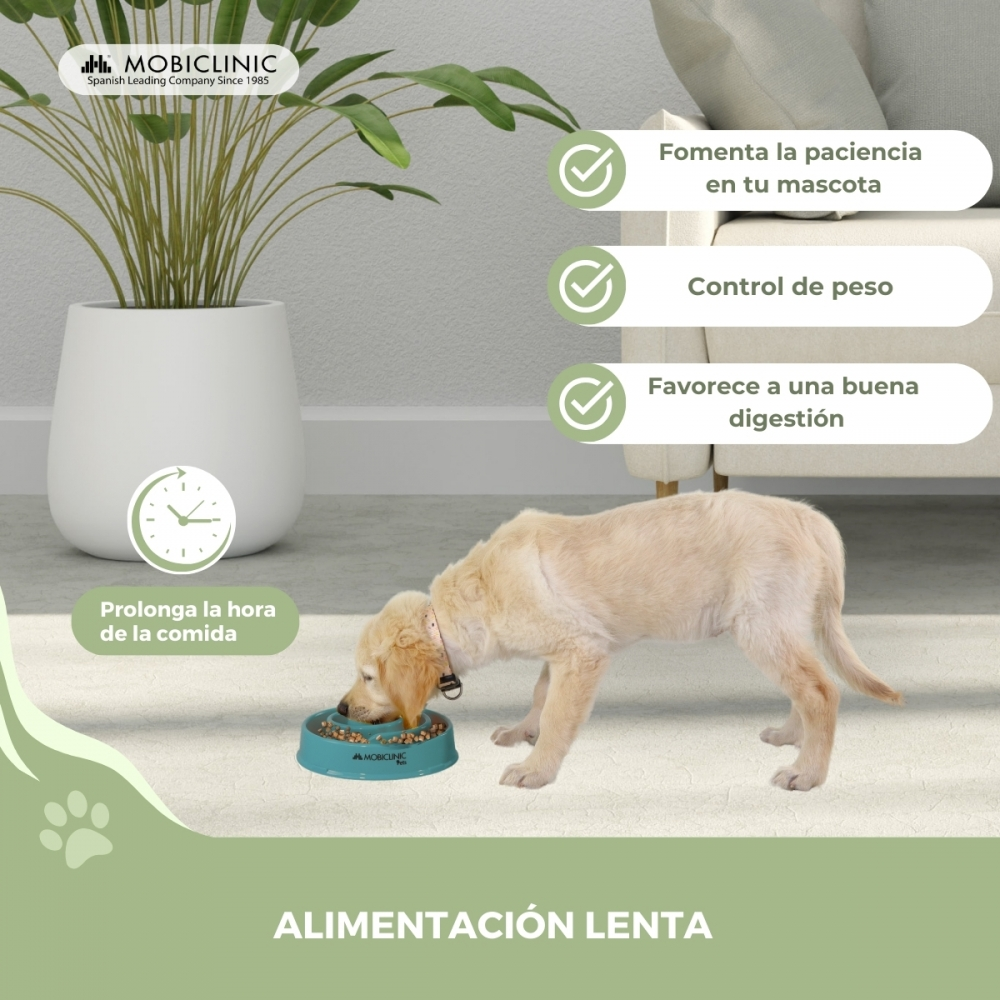 Un cachorro golden retriever come de un cuenco azul. El texto destaca beneficios: paciencia, control de peso, digestión. Planta y sofá de fondo.