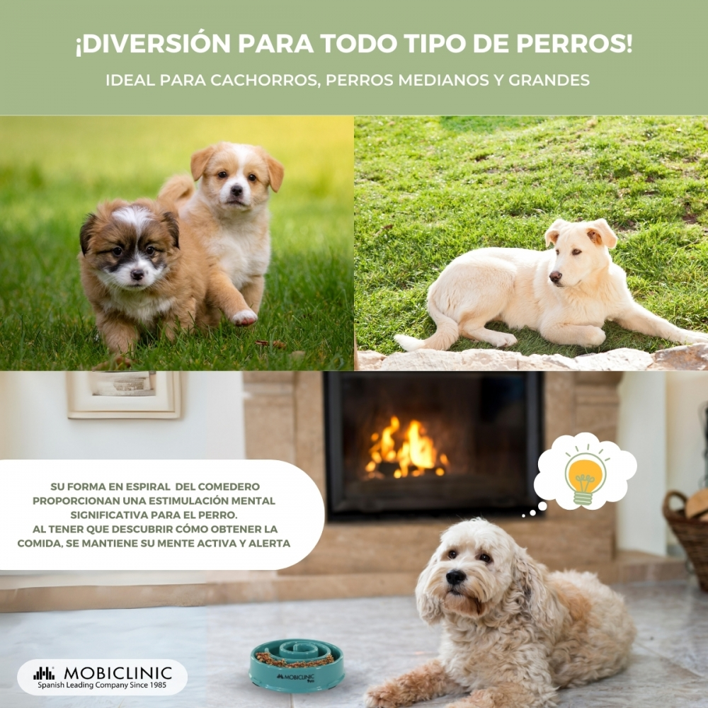 Collage de perros con texto: Diversión para todos los perros. Cachorros, perros medianos y grandes. Un comedero y un perro frente a una chimenea.