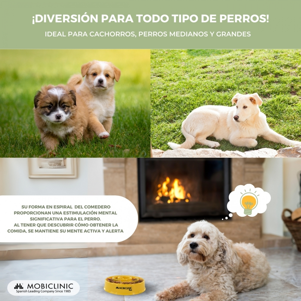 L'immagine mostra cuccioli e cani adulti, anche una ciotola gialla per cani e un cane davanti a un camino. Il testo dice 'divertimento per tutti i cani'.
