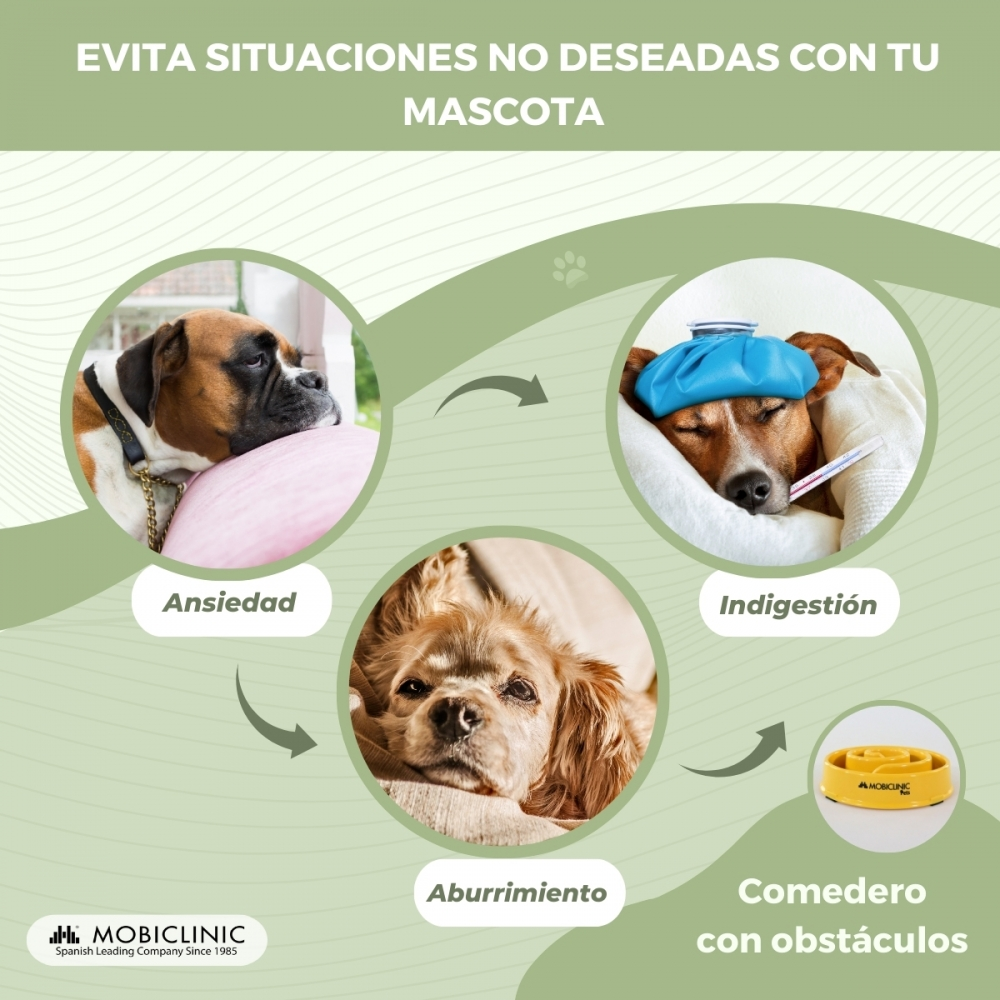 Un'illustrazione mostra un cane con ansia, un altro con indigestione e un terzo cane annoiato. Include un alimentatore con ostacoli.