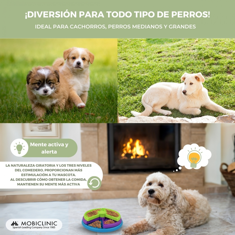 La imagen muestra cachorros y perros adultos. El texto dice '¡Diversión para todos los perros!'. También se ve un juguete para perros y texto sobre estimulación mental.