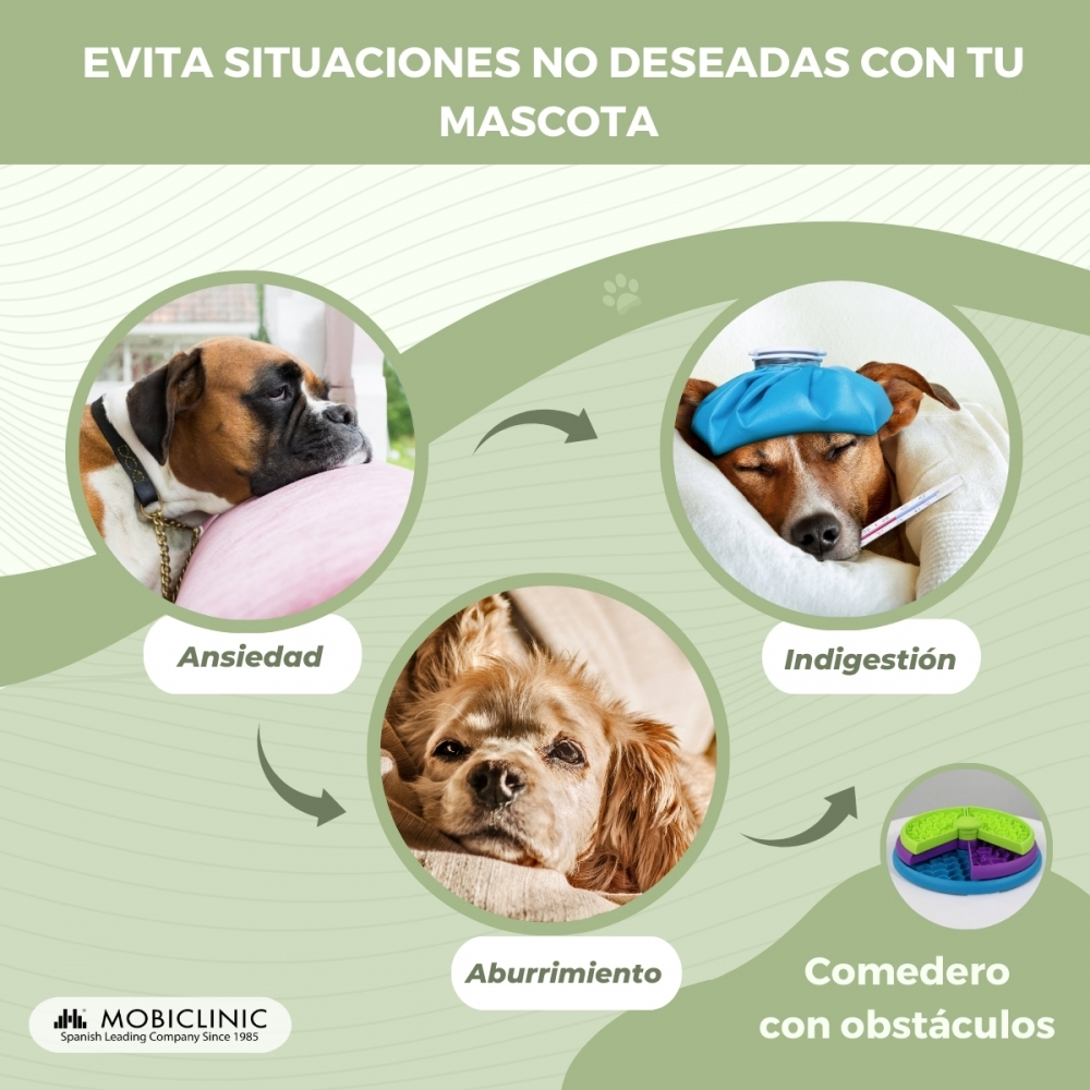 Una ilustración muestra un perro con ansiedad, otro con indigestión y un perro aburrido, promocionando un comedero lento.