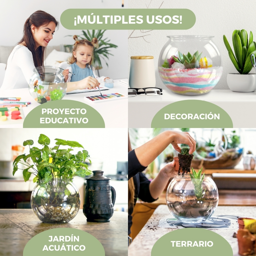 La imagen muestra diferentes usos de cuencos de vidrio: educación, decoración, jardín acuático y terrario. Personas mostradas arriba y abajo a la derecha.