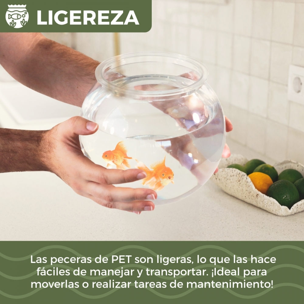 Una persona sostiene una pecera con dos peces dorados. El fondo tiene limas y limones en un cuenco decorativo. El texto superior dice 'LIGEREZA'.