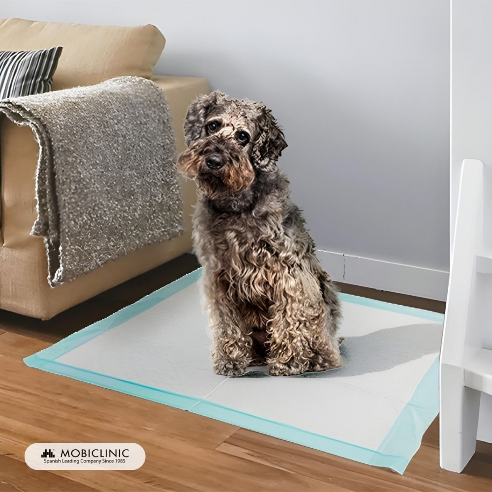 Un perro sentado sobre una almohadilla con bordes azules en un suelo de madera. Un sofá y una manta están en el fondo, con una pared blanca y una estantería.