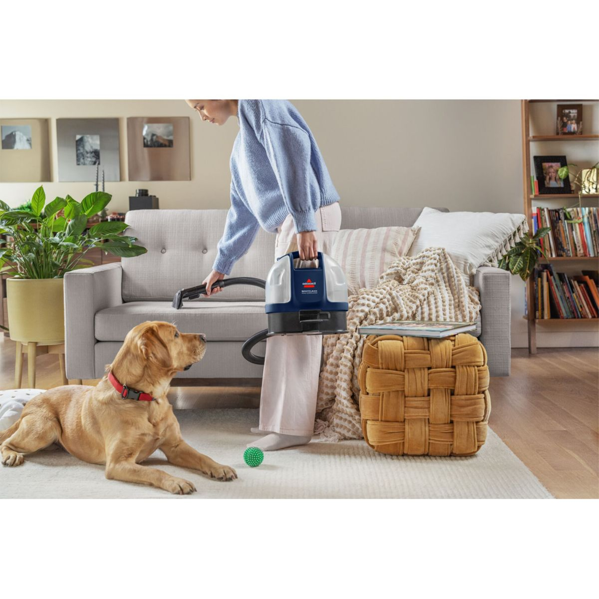 Kobieta odkurza kanapę przenośnym odkurzaczem. Złoty retriever obserwuje. Zielona piłka leży na dywanie.