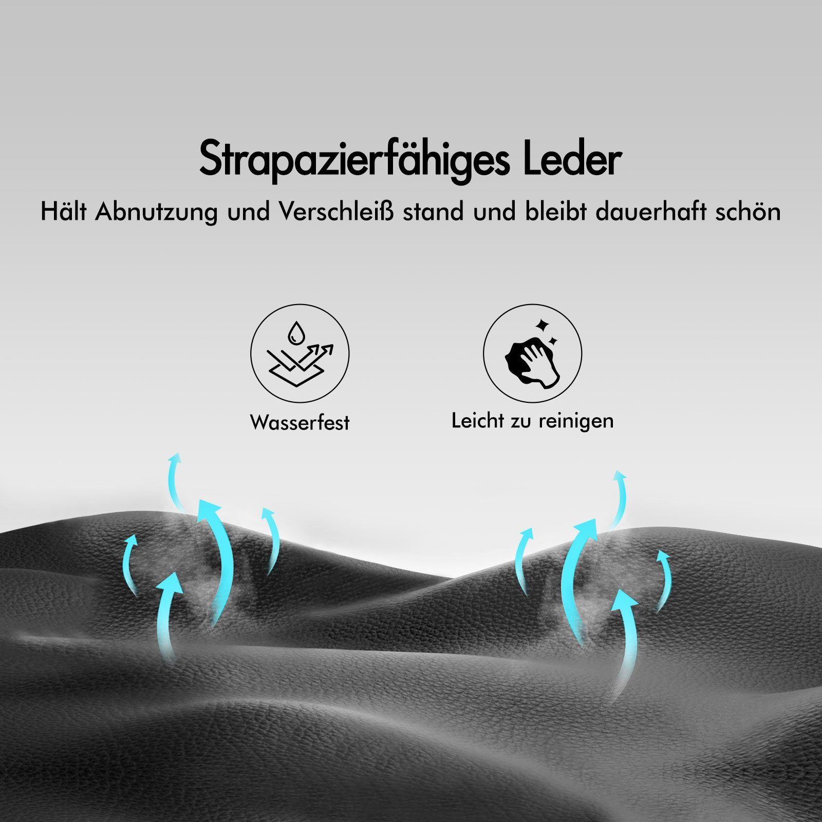 Das Bild zeigt Lederdetails. Der Text sagt strapazierfähiges Leder, wasserabweisend und leicht zu reinigen.