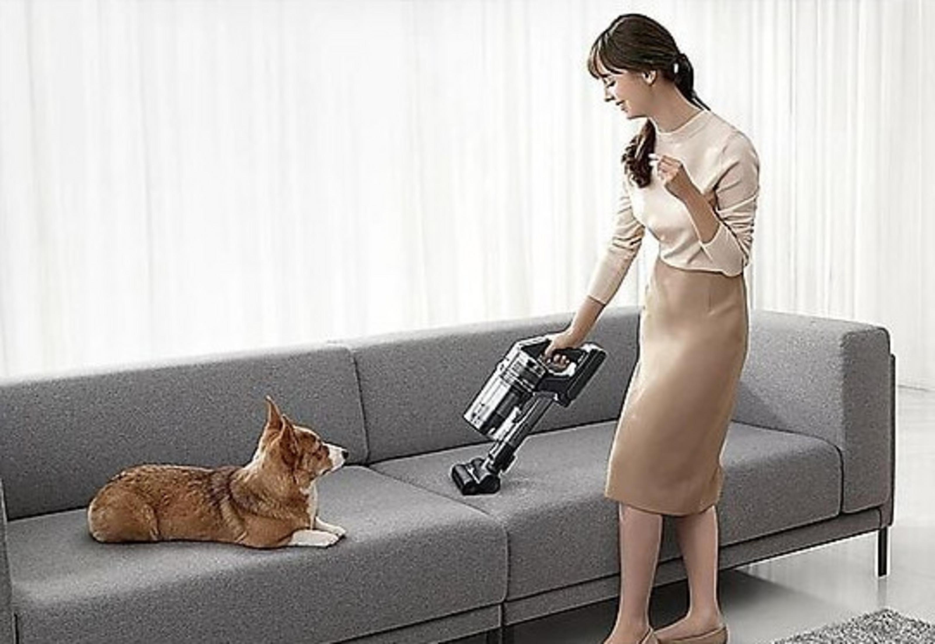 Eine Frau saugt ein graues Sofa mit einem Hund darauf. Der Hund ist braun und weiß.