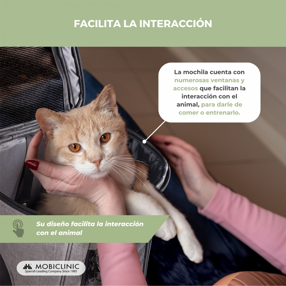 Un gato en un transportín es sostenido por una mujer. Texto en español describe las características del transportín.