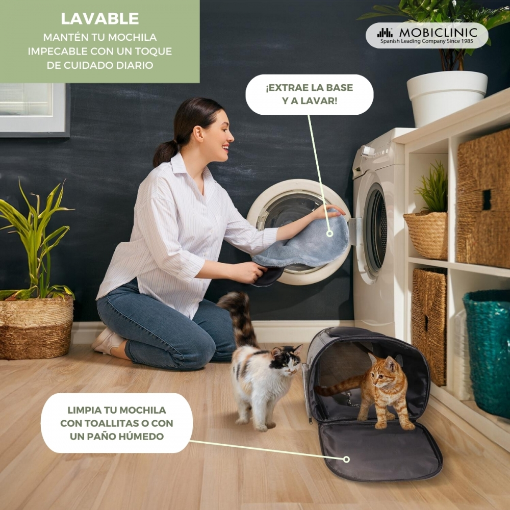 Una mujer saca una cama para mascotas de una lavadora. Dos gatos, uno carey, uno naranja, están cerca de un transportín abierto.