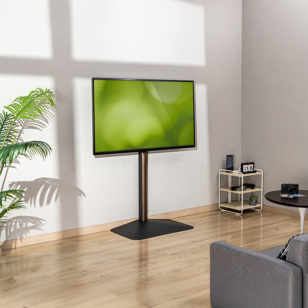 Ein Fernseher auf einem Ständer in einem Raum. Links eine Pflanze. Rechts ein kleiner Tisch mit Gegenständen. Holzboden.