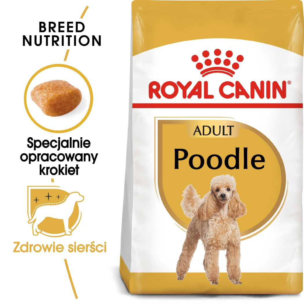 Bolsa de comida para perros con imagen de caniche. Texto incluye 'Royal Canin', 'Poodle' y 'Adult'. Gráficos muestran perro y croquetas.