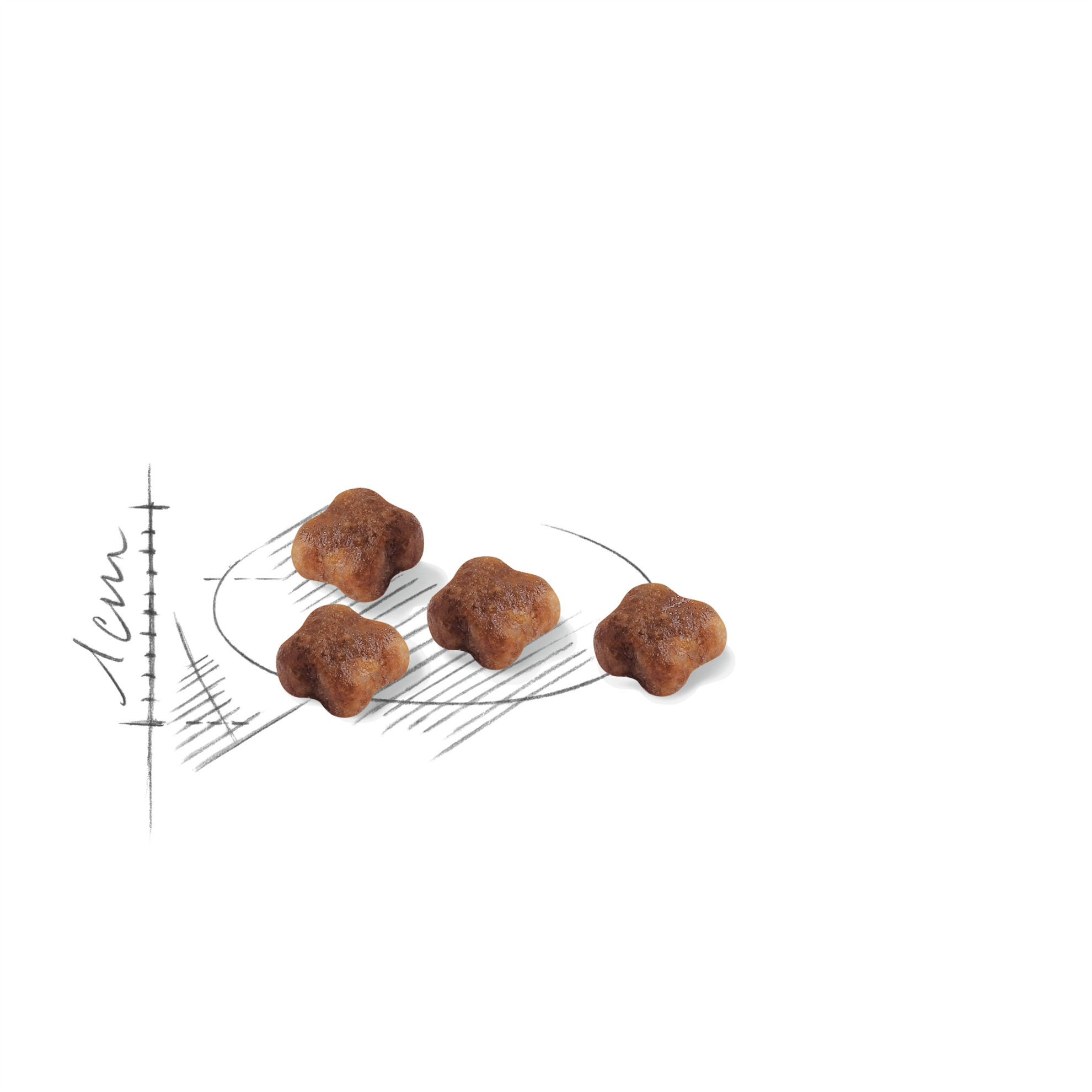 Cuatro piezas de alimento para mascotas marrones, en forma de estrella, sobre fondo blanco. Un boceto a la izquierda.
