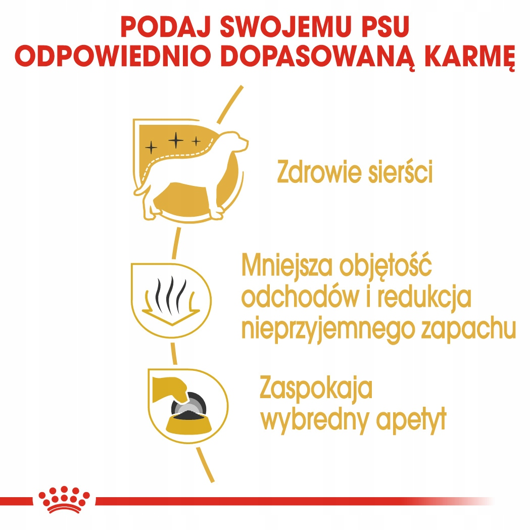 Reklama z tekstem i grafiką promująca karmę dla psów. Podkreśla korzyści zdrowotne: zdrowa sierść, mniej odpadów i zadowolenie wybrednych psów.