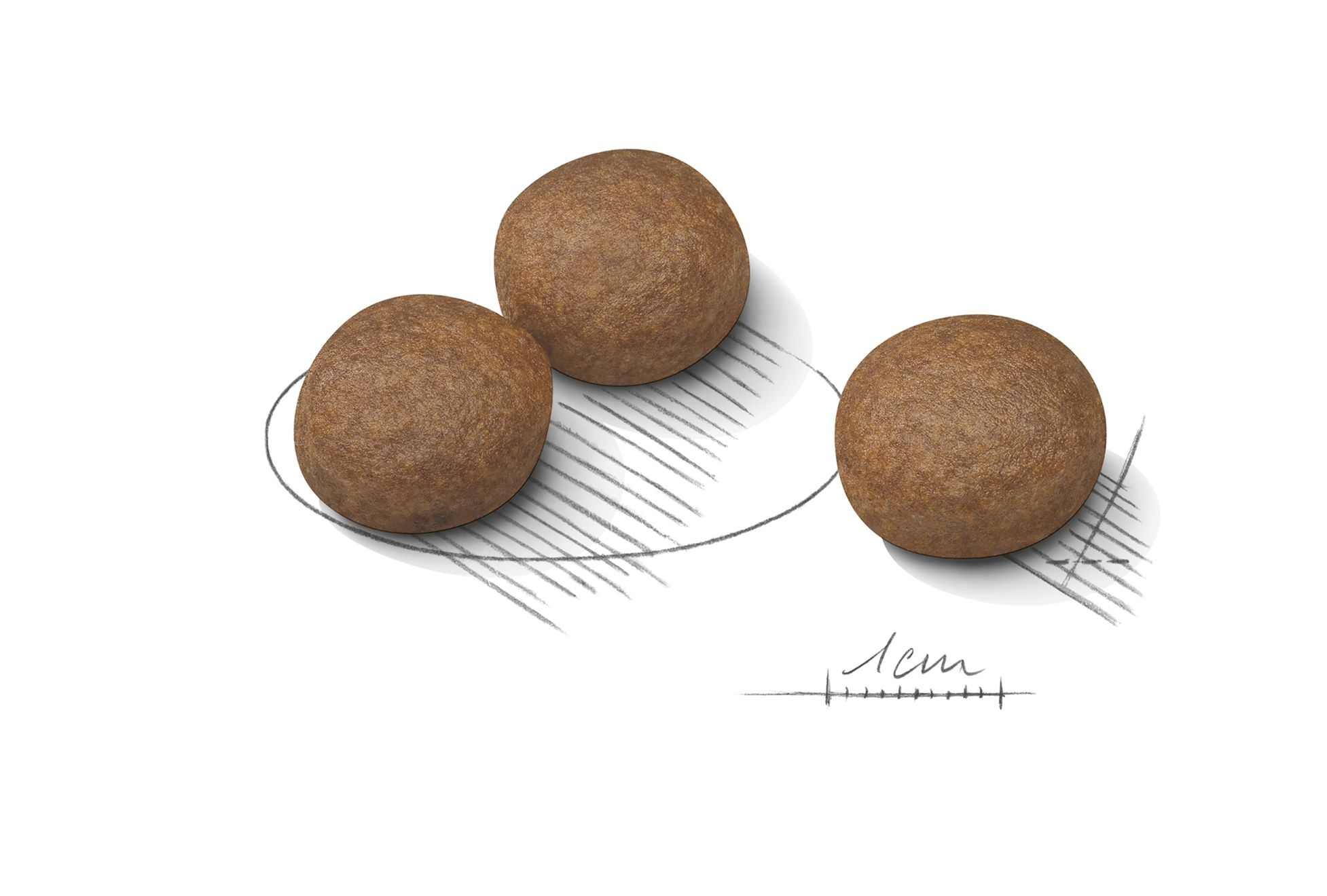 Trzy brązowe, kuliste obiekty na białym tle, ze szkicowaną linią pod spodem i słowem '1cm'.