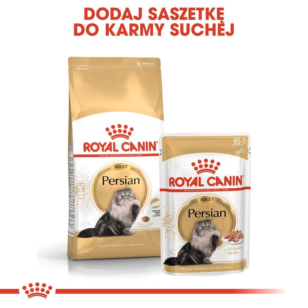 Dwa opakowania karmy dla kotów Royal Canin Persian. Duża torba i mniejsza saszetka, obie z wizerunkiem kota perskiego.