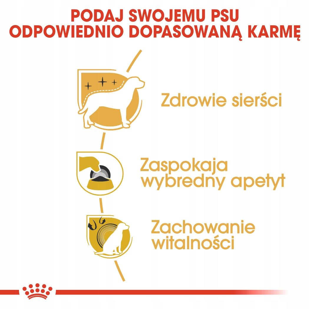 Reklama z tekstem i ilustracjami. Promuje karmę dla psów z korzyściami: zdrowa sierść, zaspokaja apetyt i witalność.