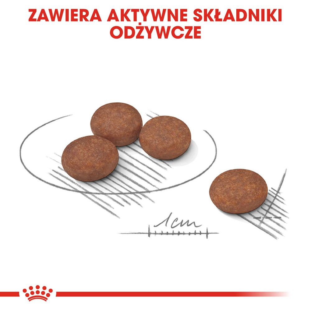 La imagen muestra croquetas de comida para mascotas marrones y redondas. El texto superior dice: 'Contiene ingredientes nutricionales activos'.