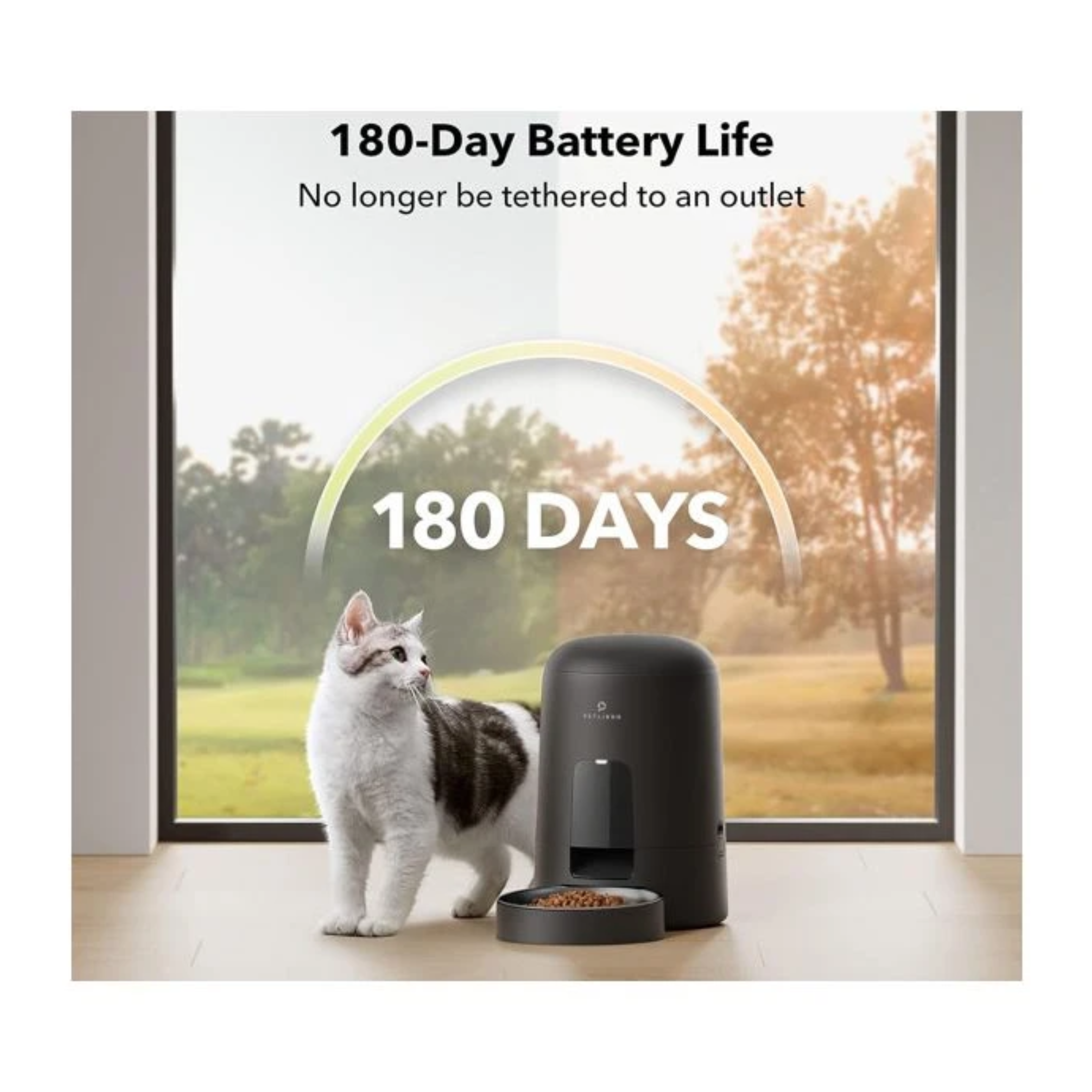 Un gato está de pie junto a un comedero negro para mascotas. El texto dice Duración de la batería de 180 días y 180 DÍAS. Hay una ventana al fondo.