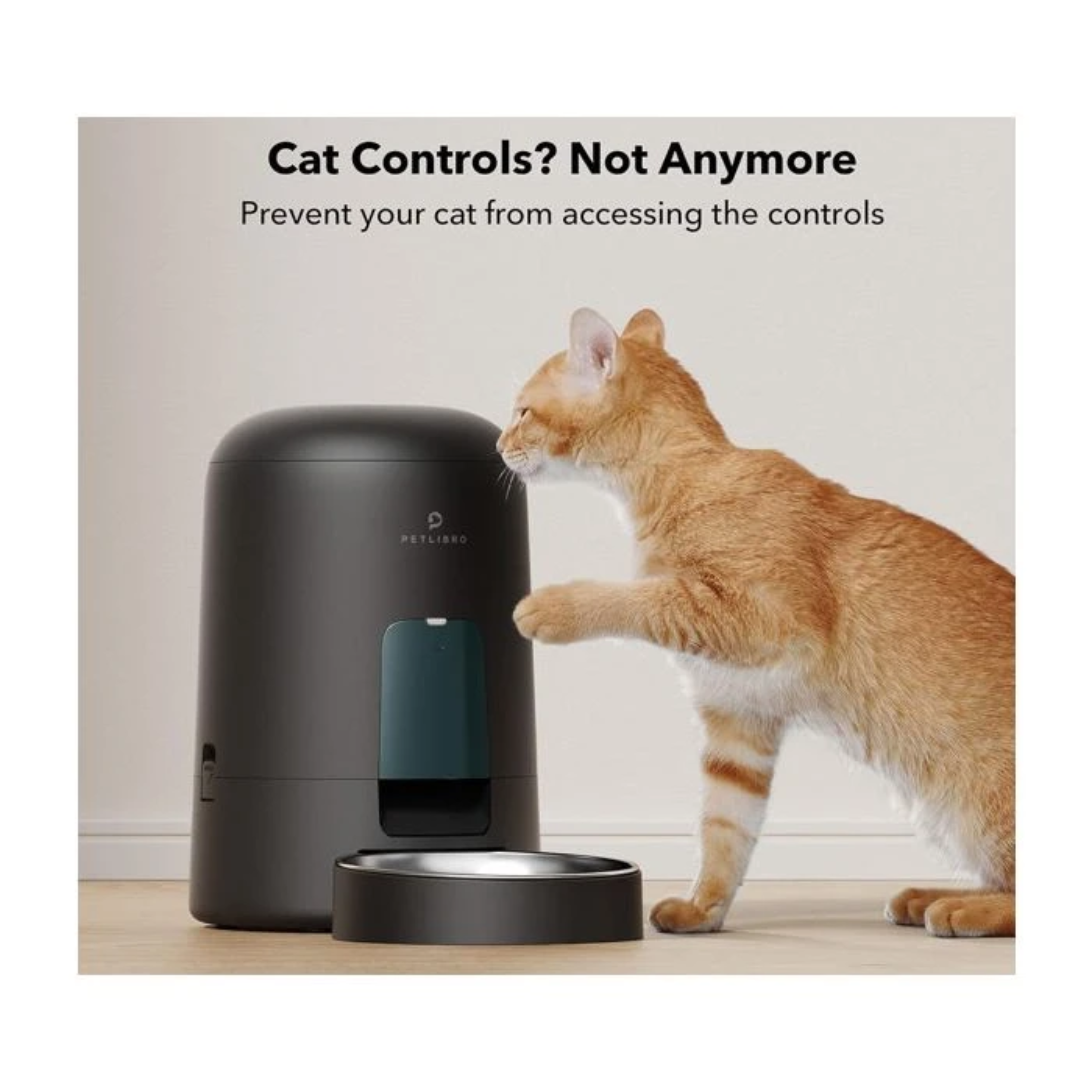 Un gato naranja se acerca a un comedero automático negro. El comedero tiene un cuenco en la parte inferior.