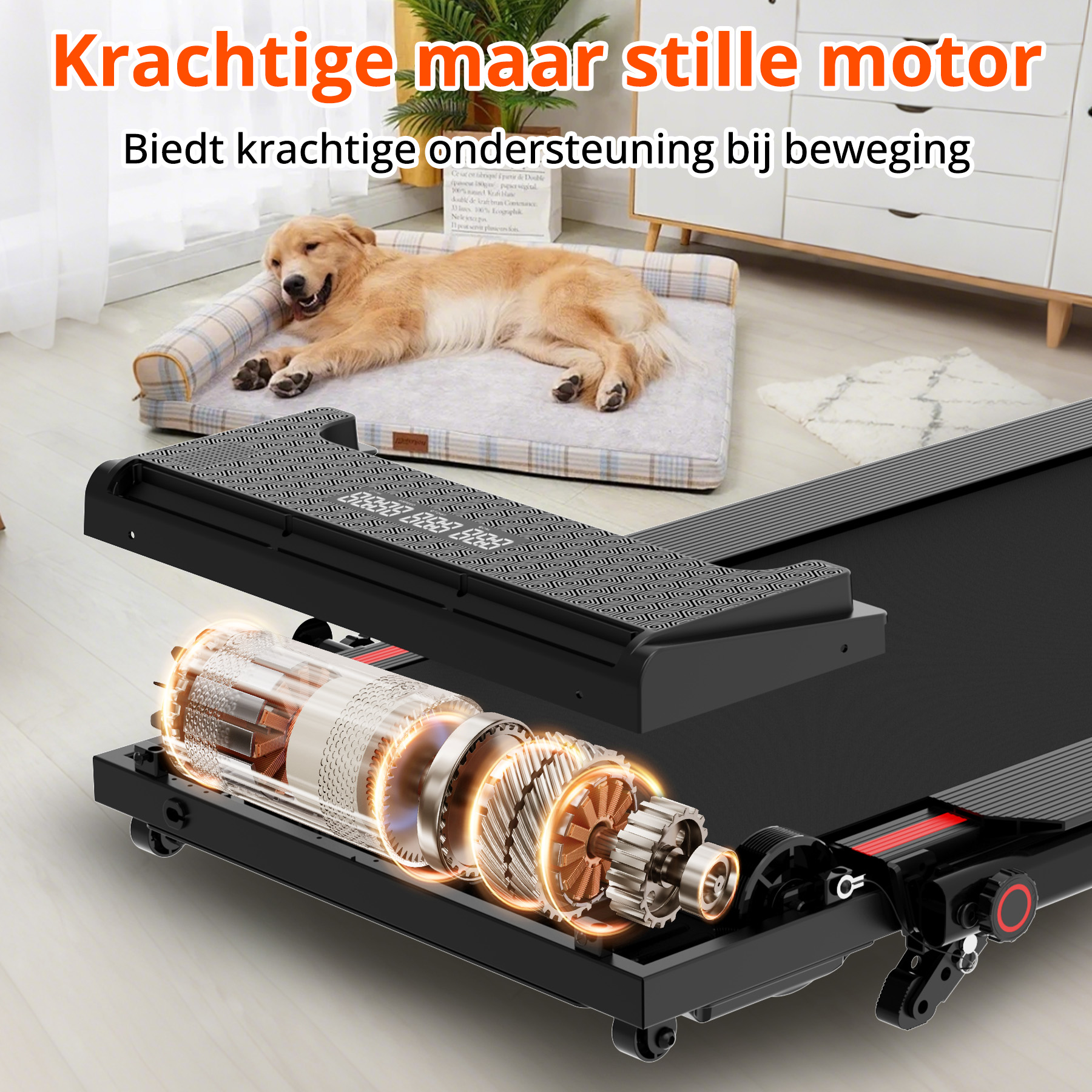 A treadmill with its motor exposed, a dog rests on a bed. Text: Powerful but quiet motor.