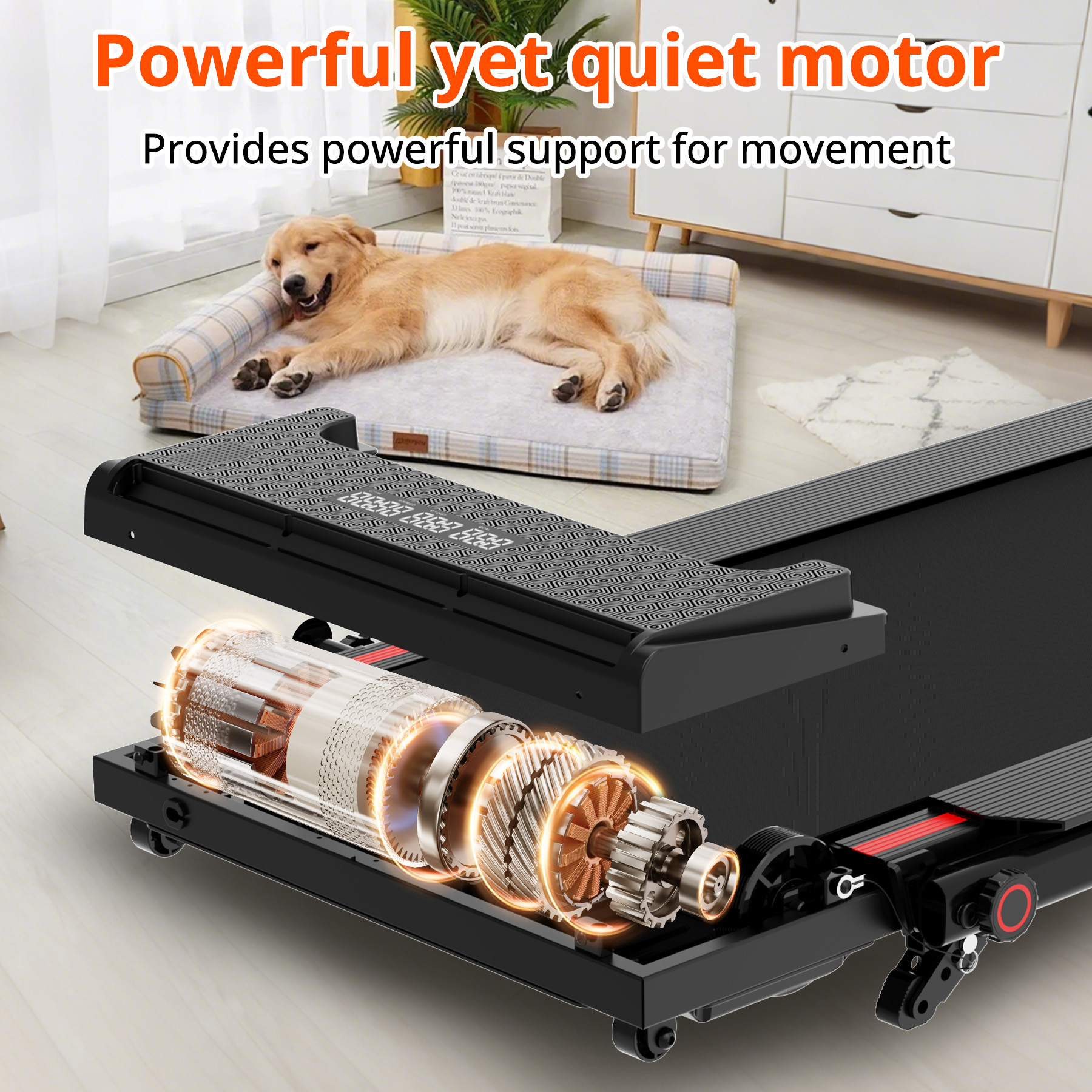 A treadmill motor is in focus. A dog is lying on a bed in the background. Text overlay reads 'Powerful yet quiet motor'.