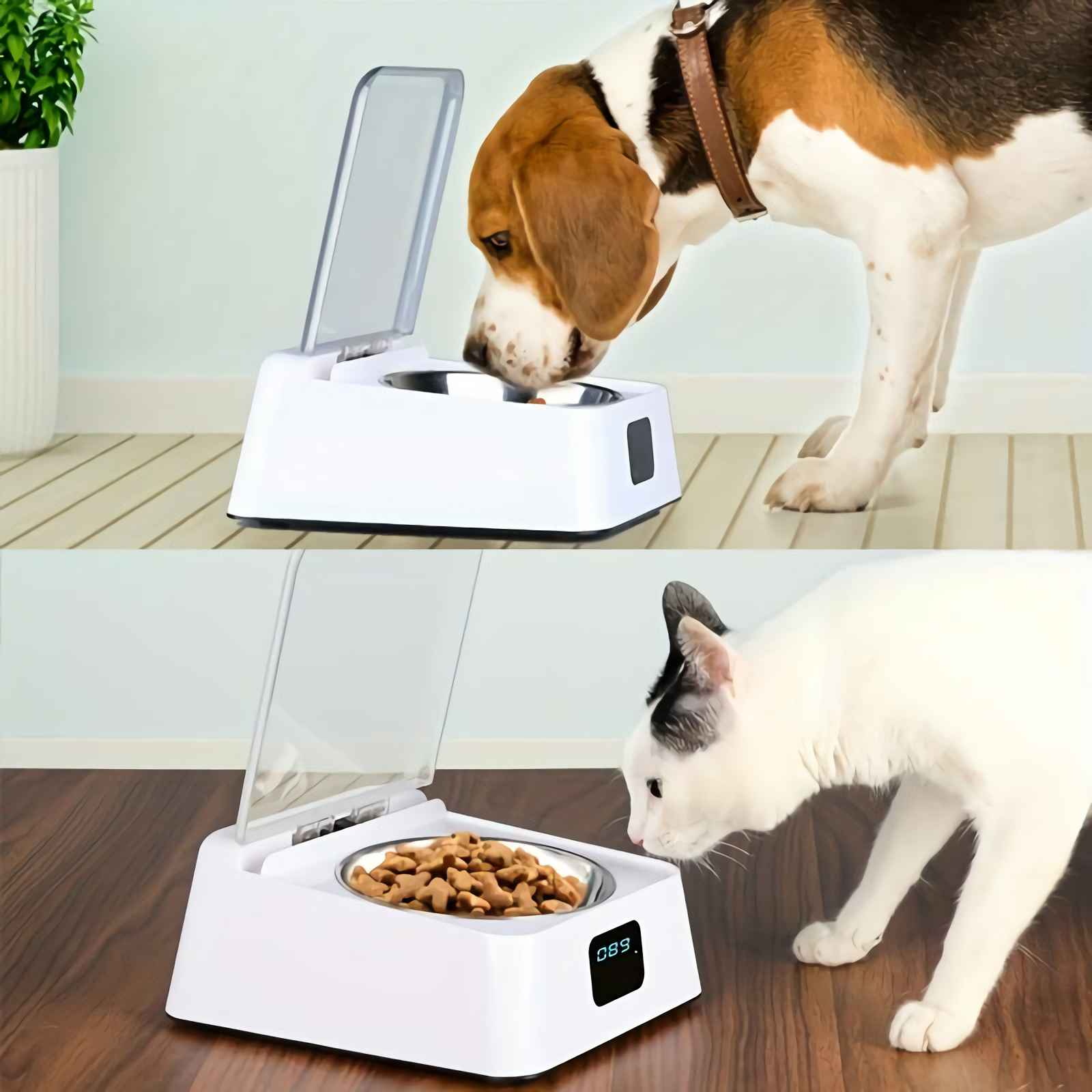 Ein Beagle frisst aus einem weißen Futterautomaten. Eine Katze frisst aus einem ähnlichen Futterautomaten.