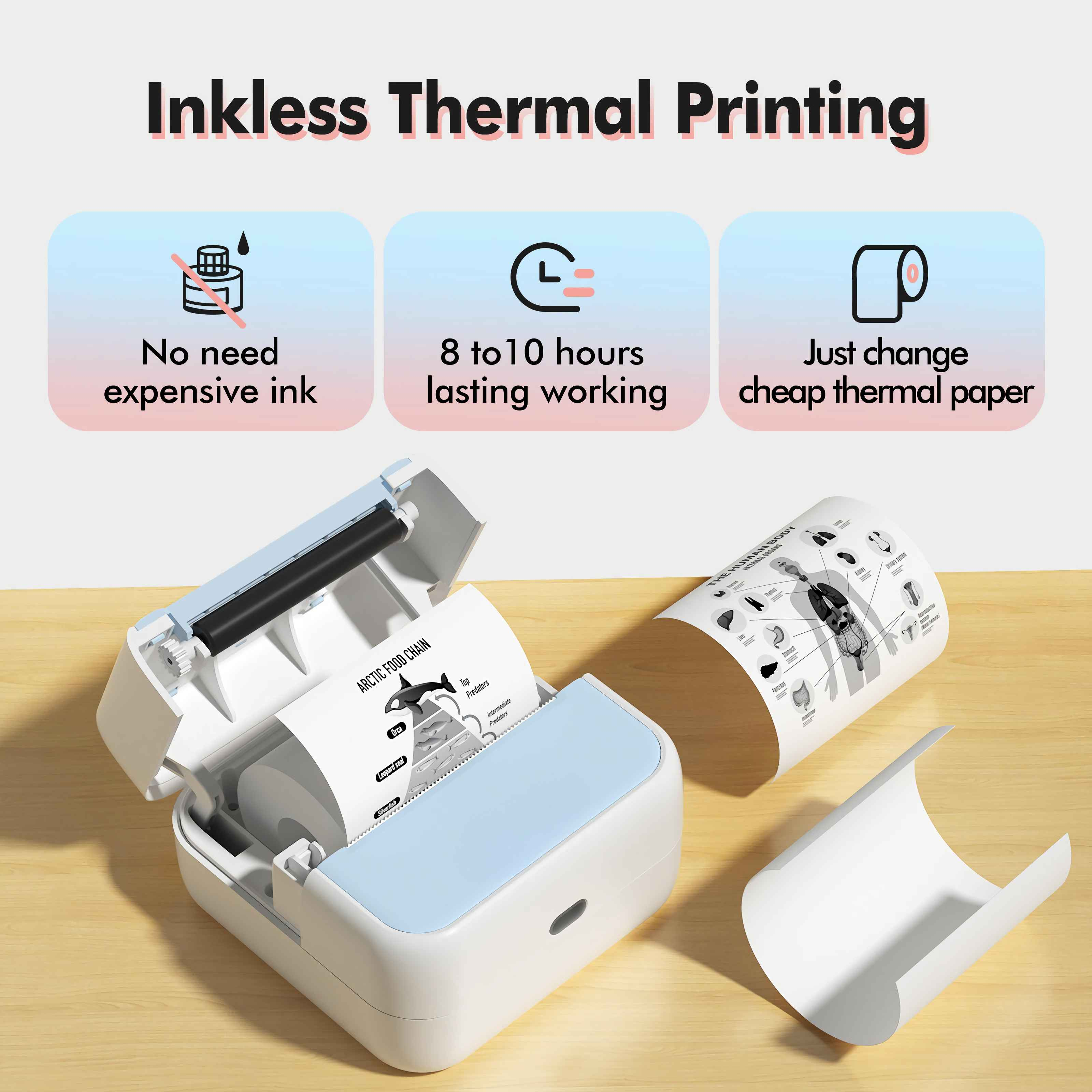 Ein weißer Thermodrucker mit blauem Deckel druckt eine Lebensmittelkette und ein Diagramm des menschlichen Körpers.