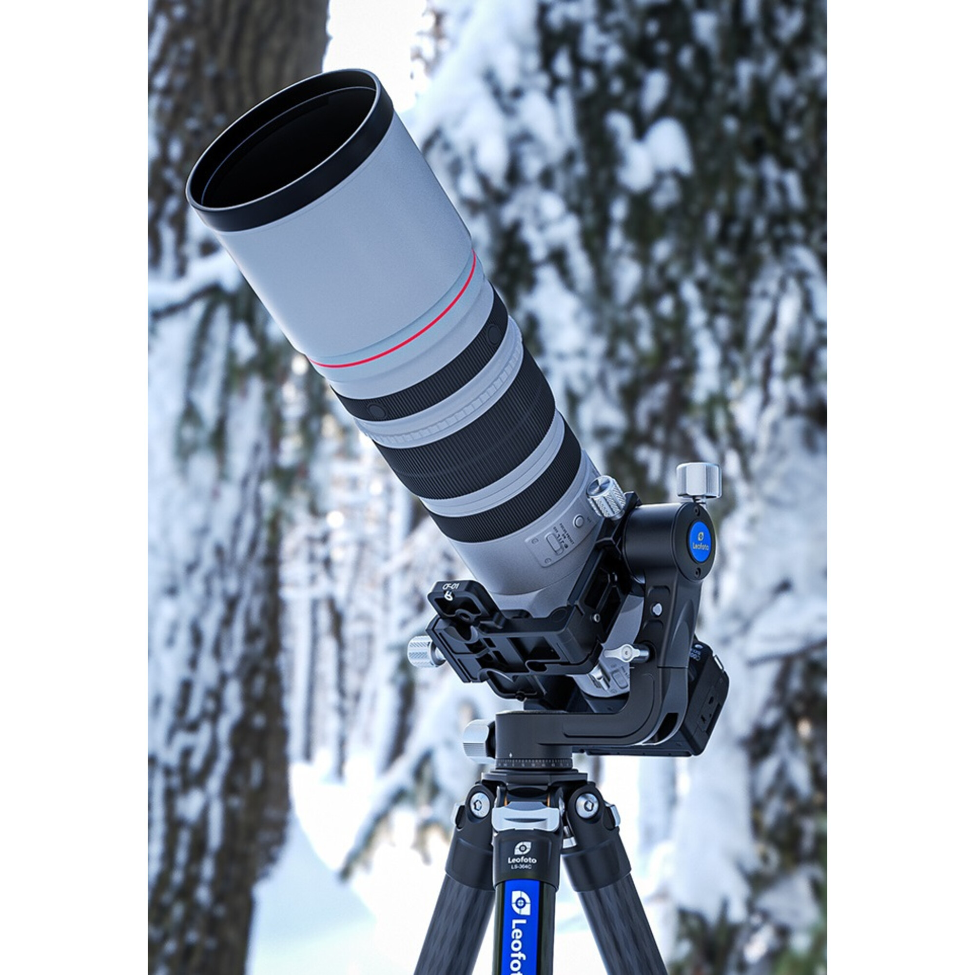 Ein professionelles Kameraobjektiv auf einem Stativ in einem verschneiten Wald.