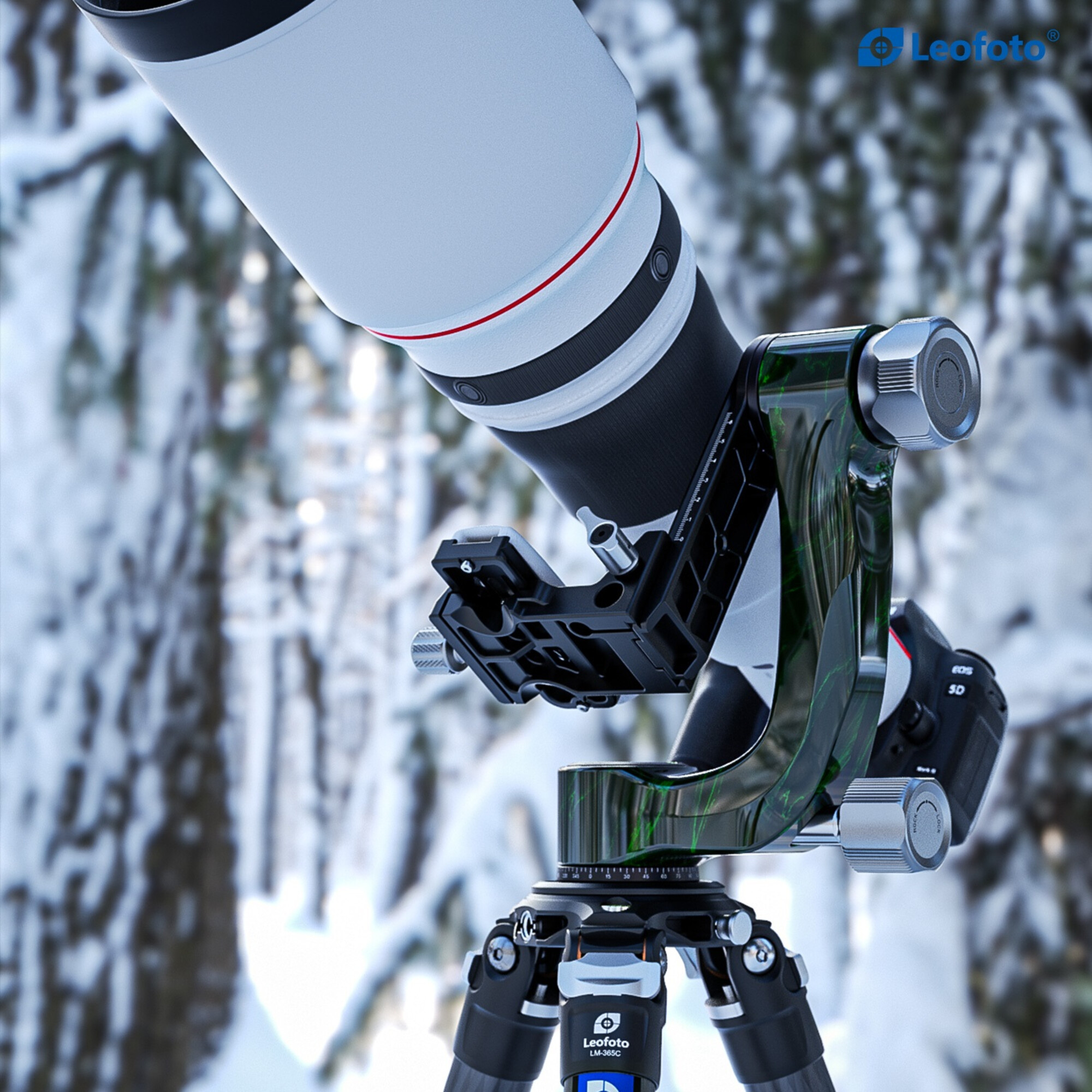Ein Teleobjektiv auf einem Stativ in einer verschneiten Waldlandschaft. Leofoto Logo oben.